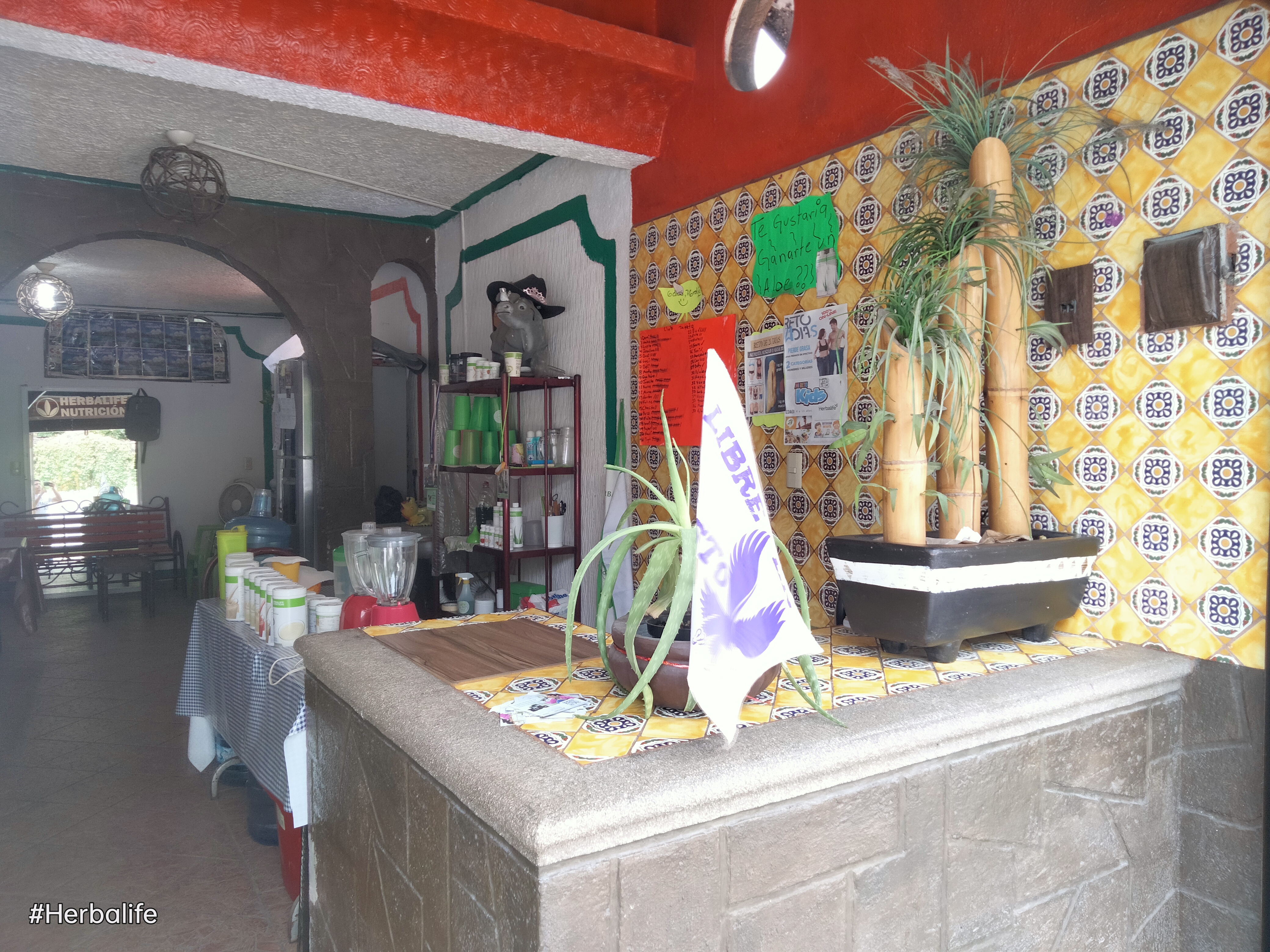 Club de Nutricion Zapata image 4