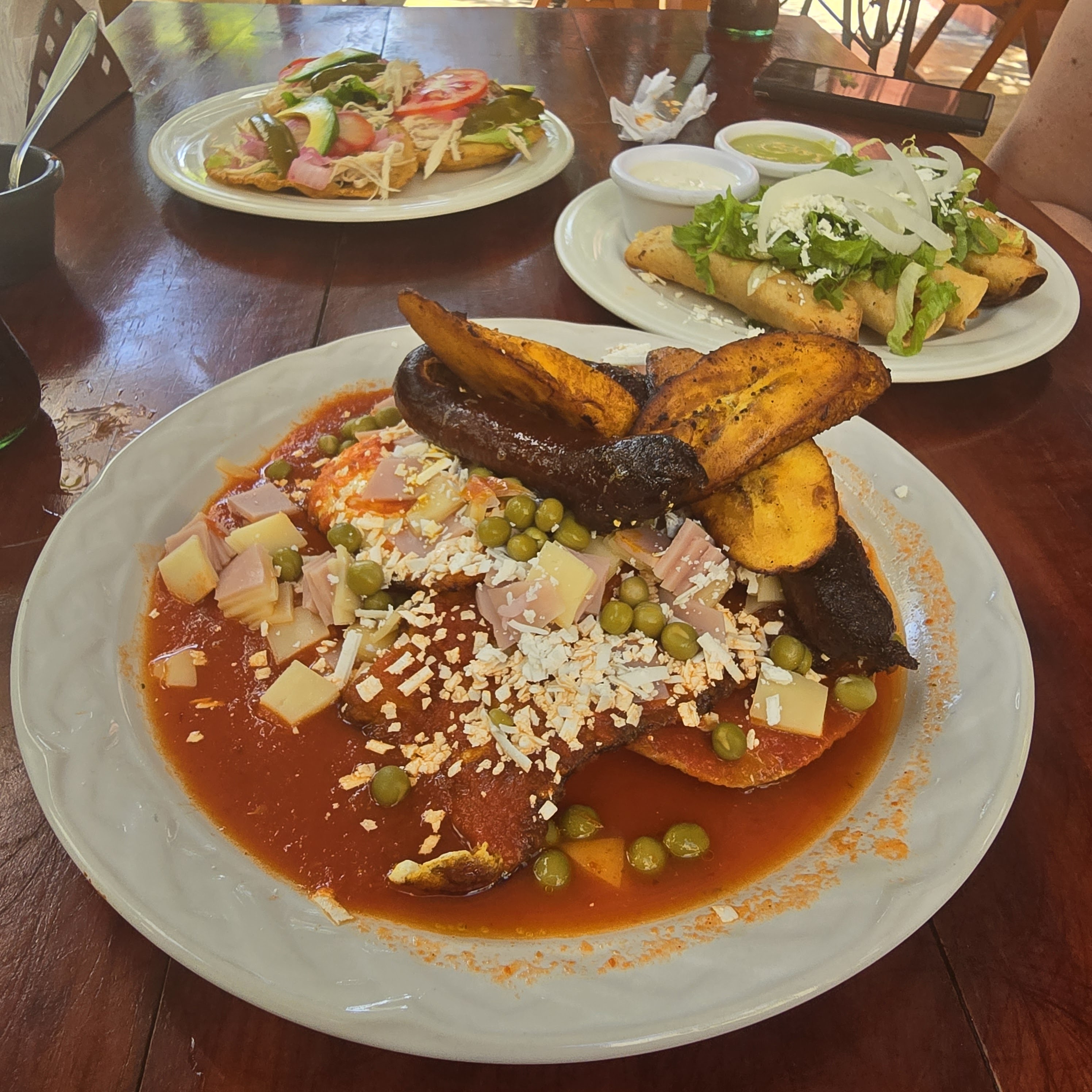 Loncheria Olich image 8