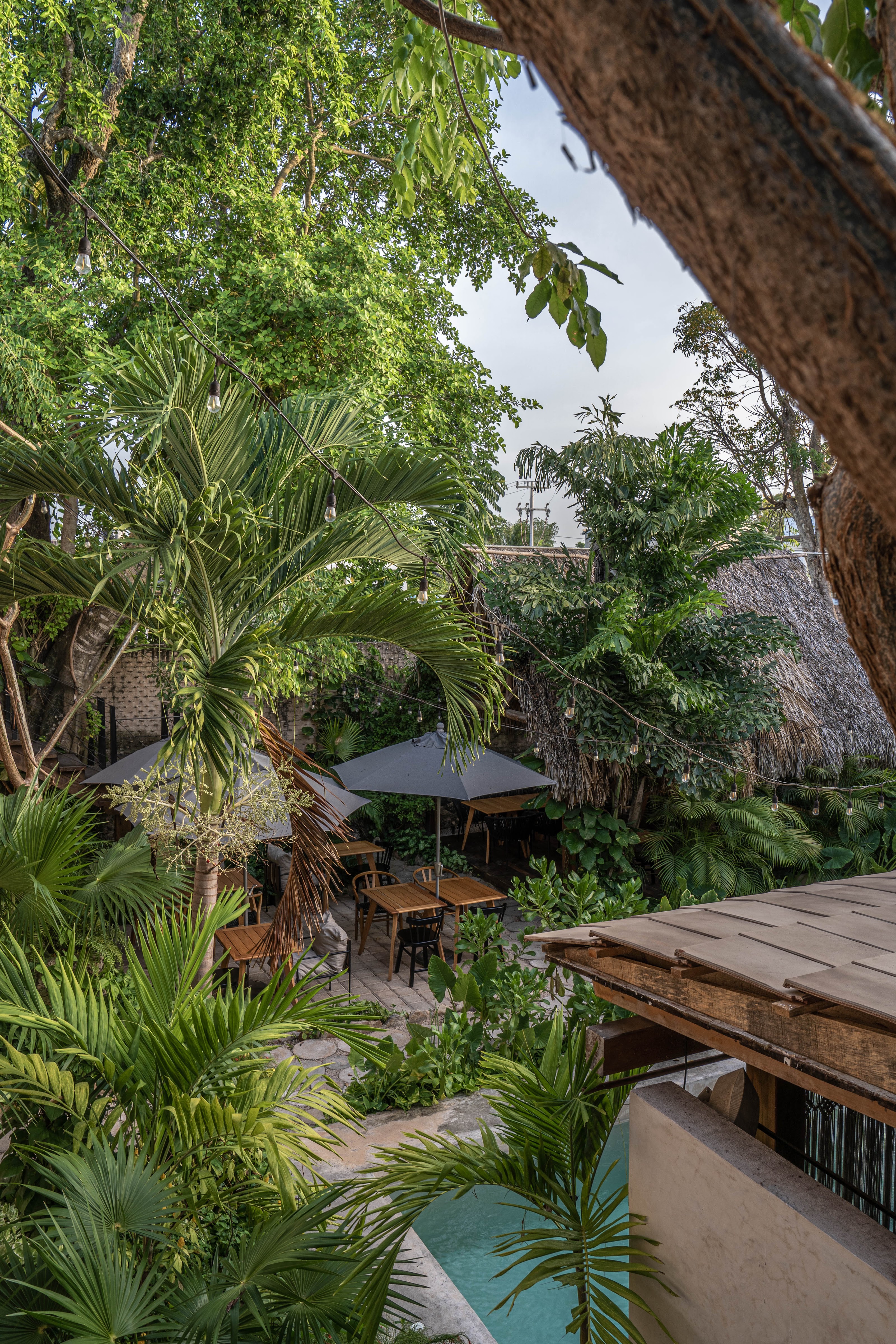 Restaurante Colonté (Ceremonial) image 10