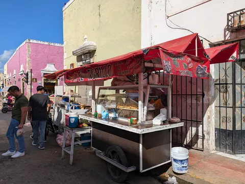 El tigrillo image 4