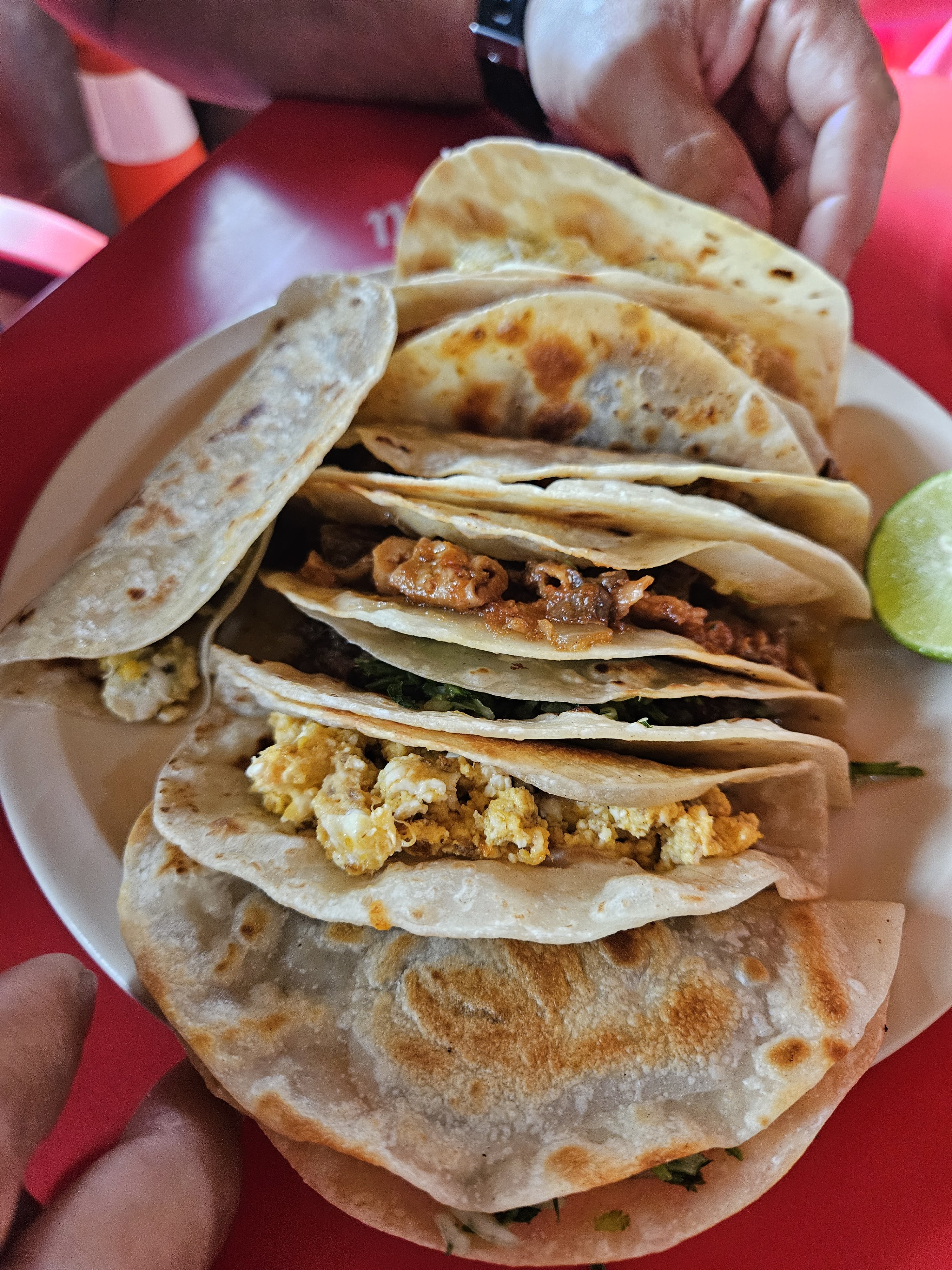 Los Mandilones image 1