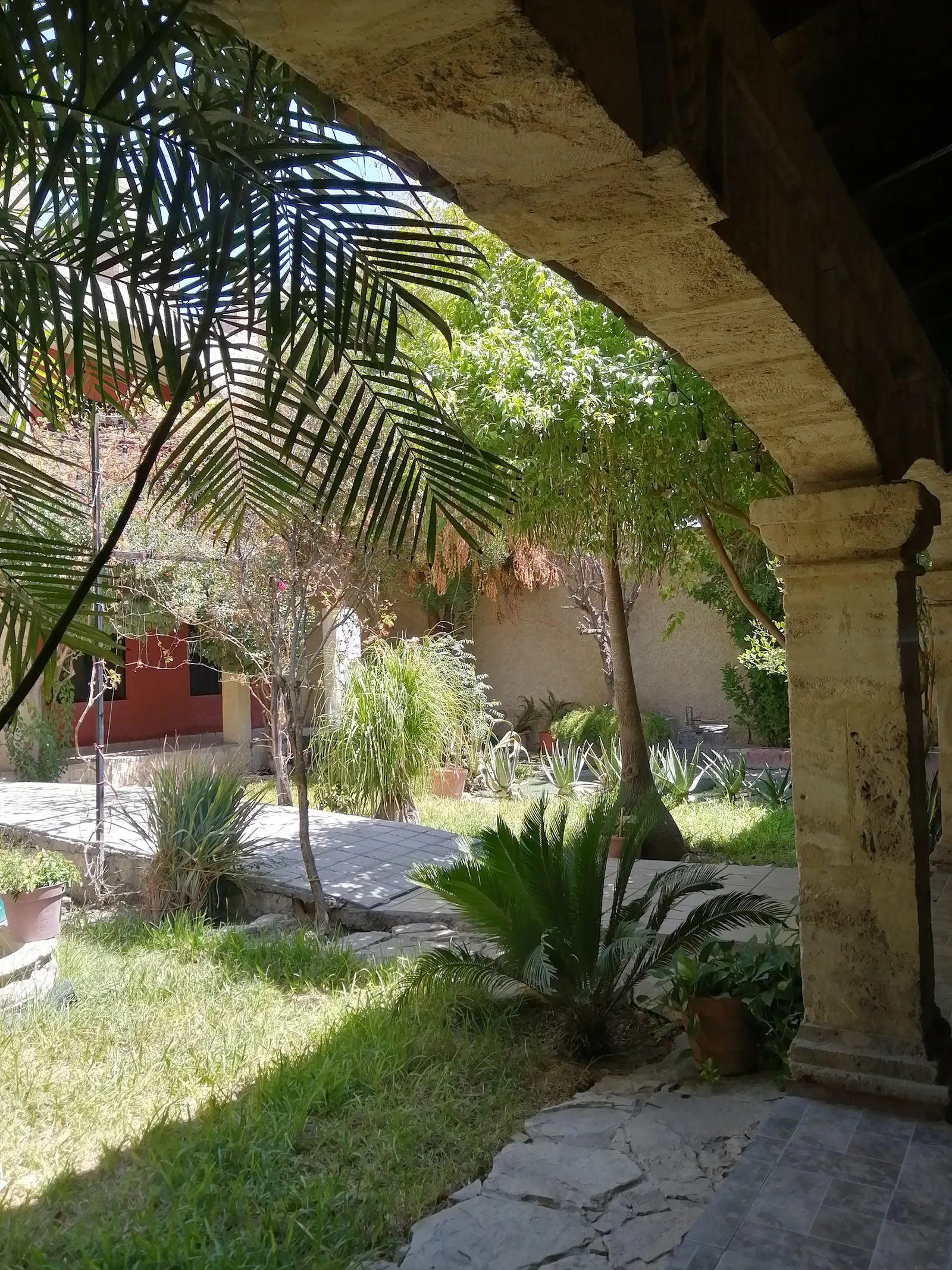 La Soberana image 6