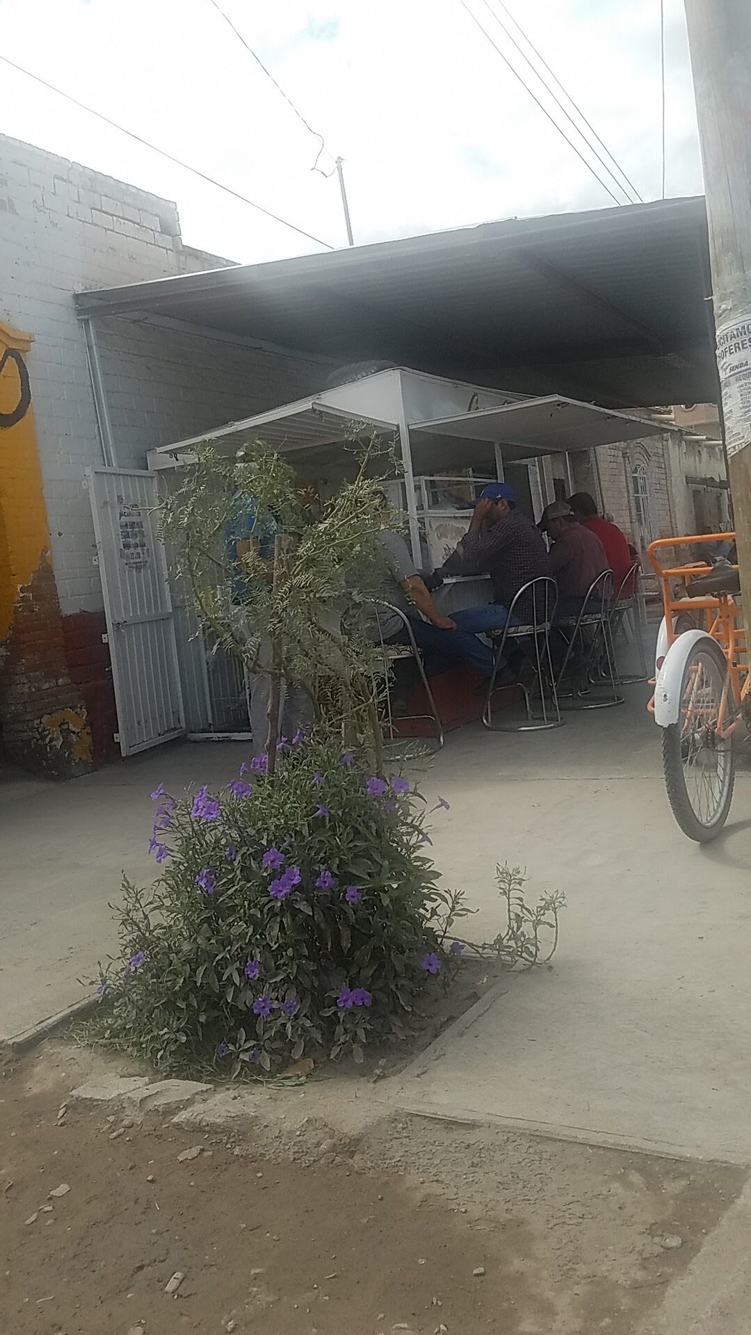 Doña Paz image 8