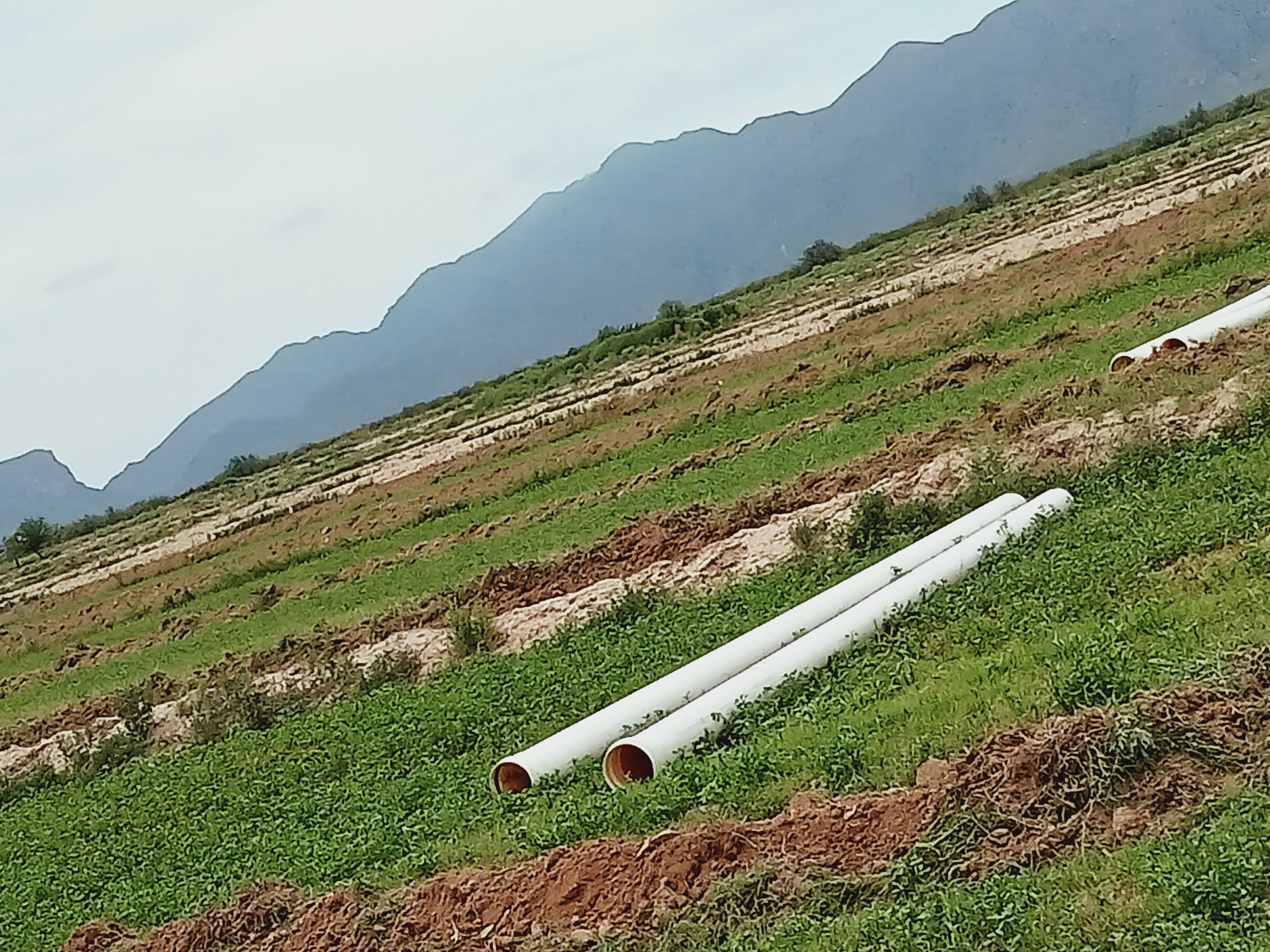 Los 4 Caminos image 4