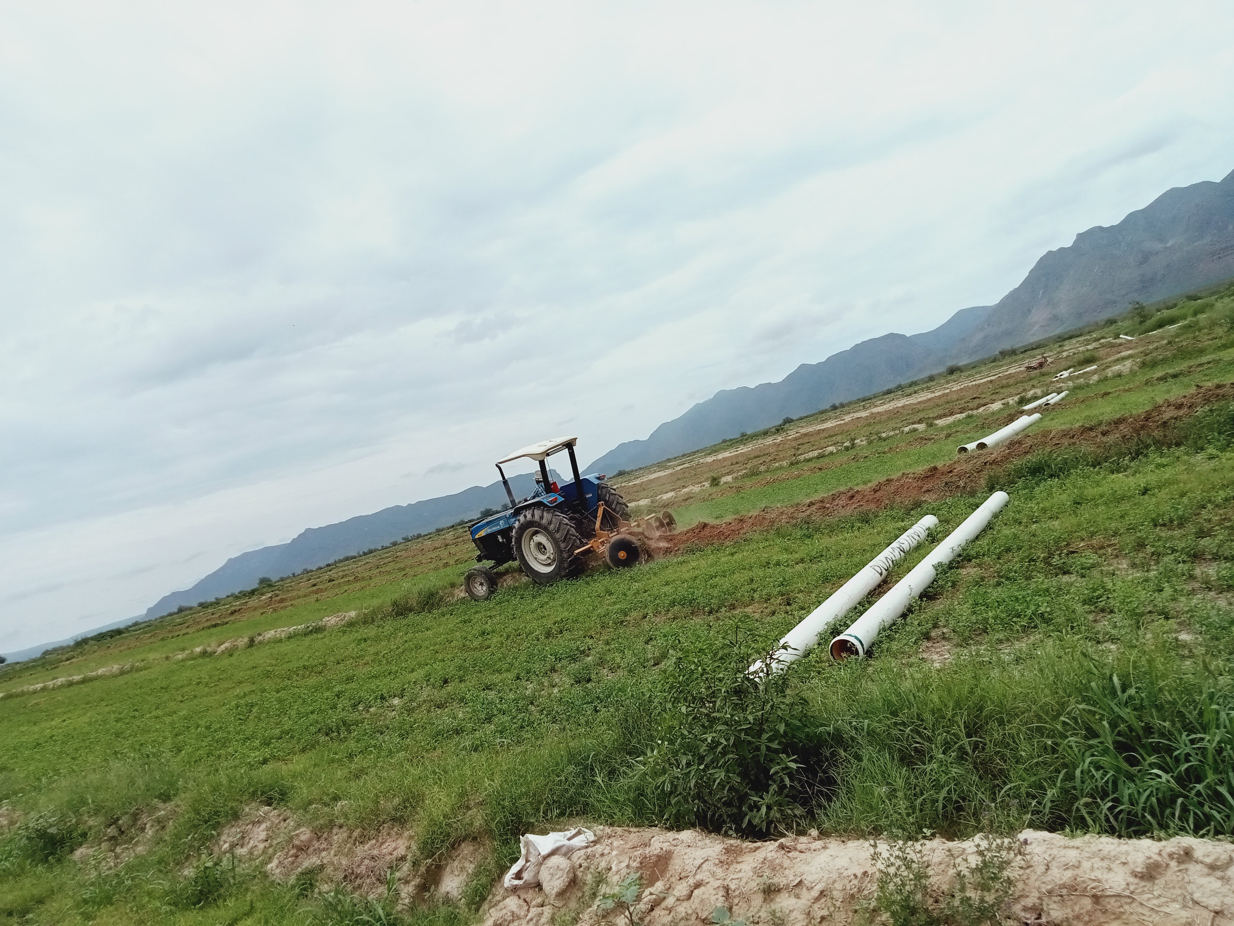 Los 4 Caminos image 5