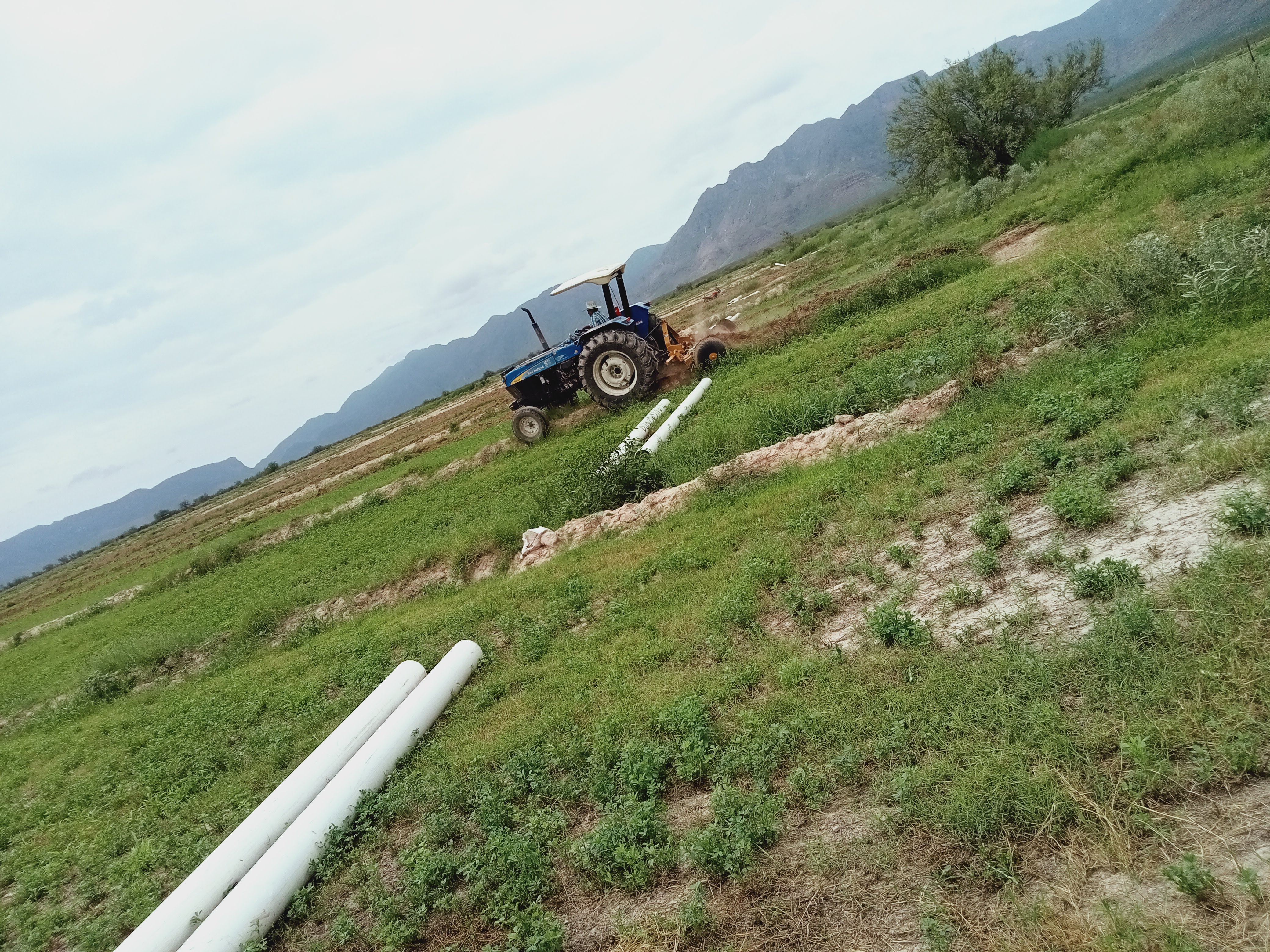 Los 4 Caminos image 7