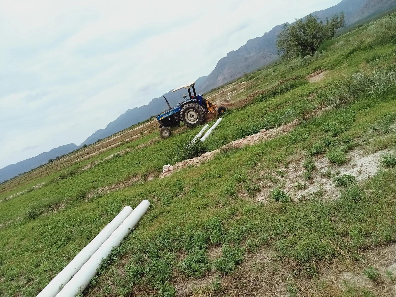 Los 4 Caminos image 7