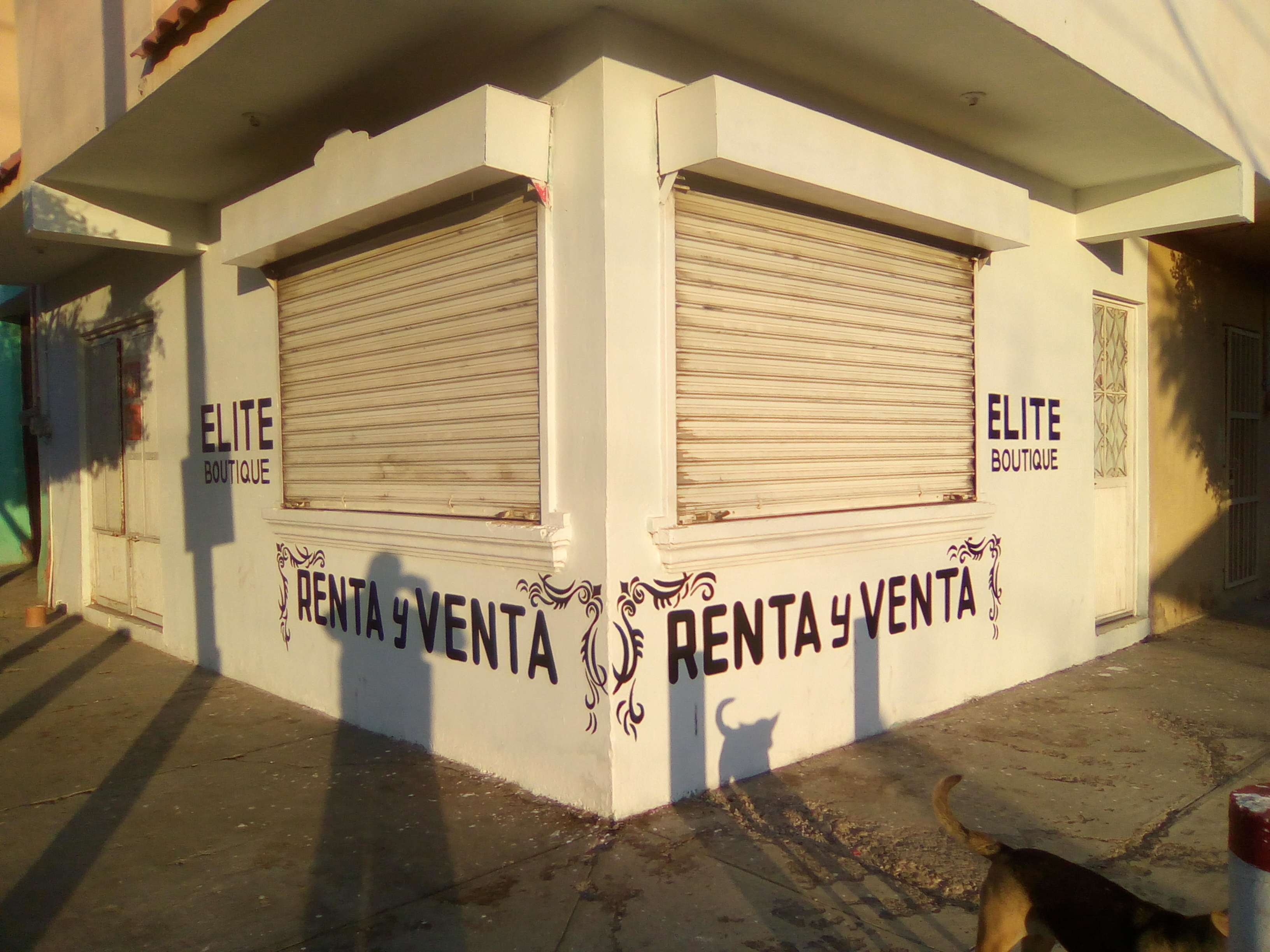 Tacos De Carne Asada El Yogui image 5