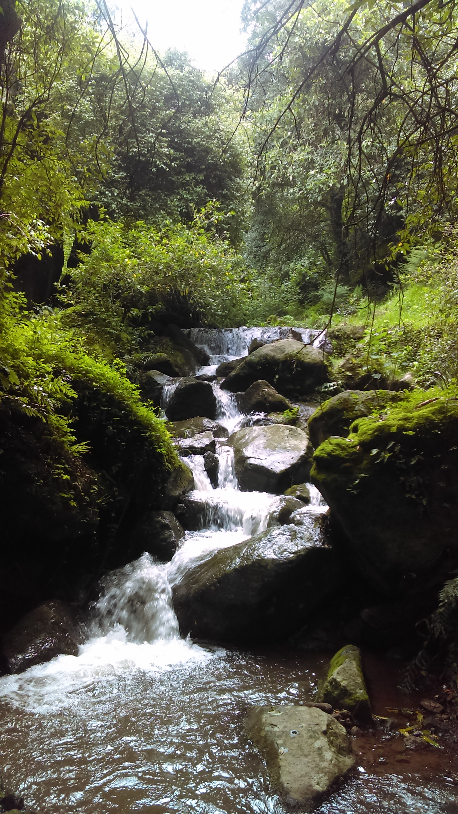 Rio De Los Ajos image 2