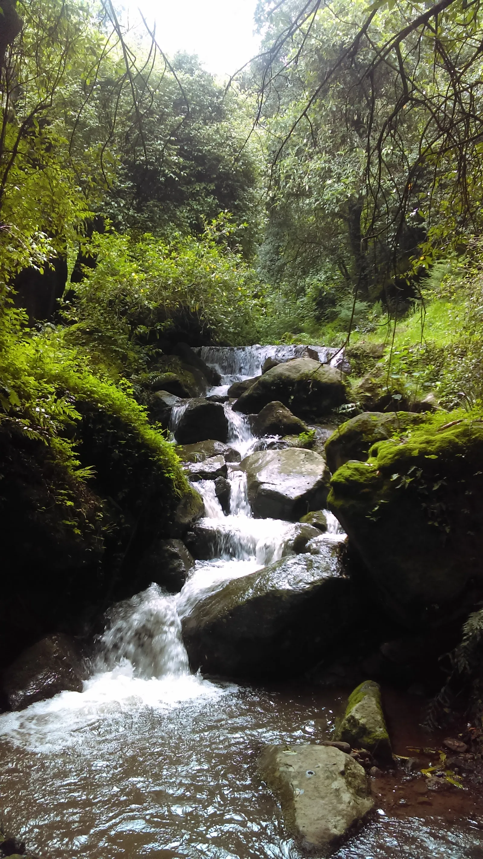 Rio De Los Ajos image 2