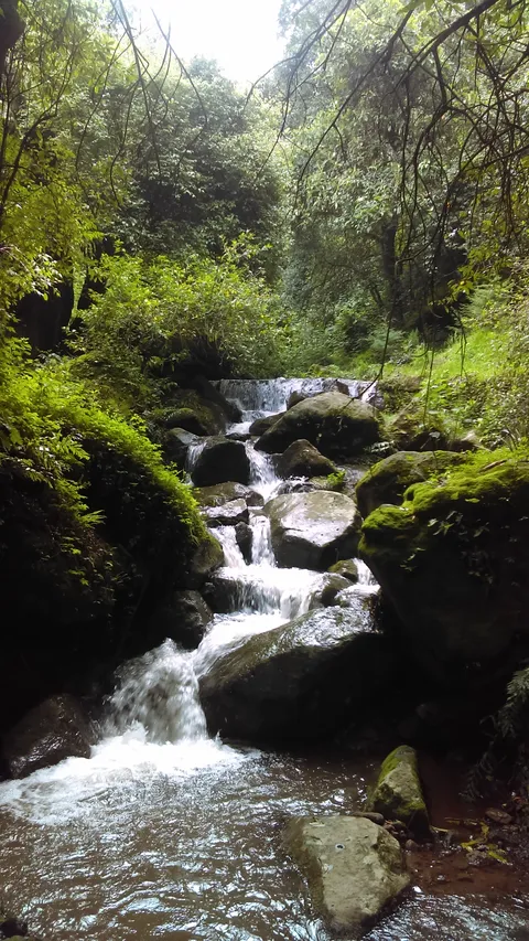 Rio De Los Ajos image 2