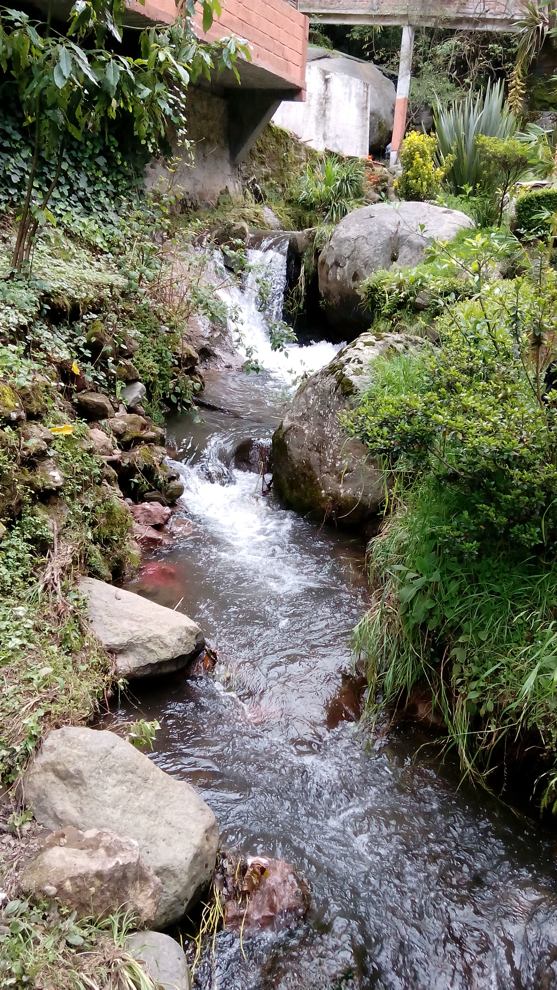 Rio De Los Ajos image 6