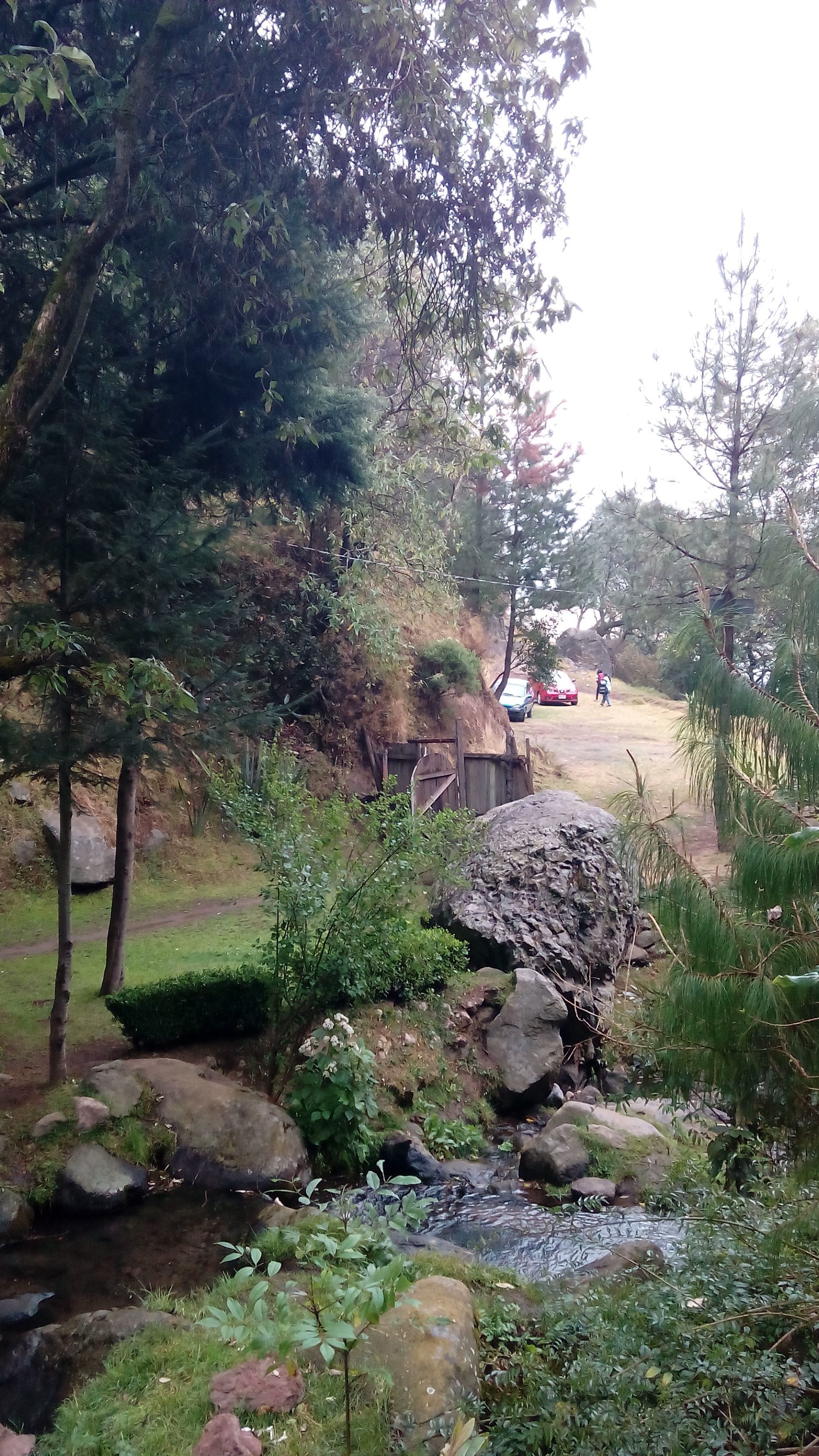 Rio De Los Ajos image 9