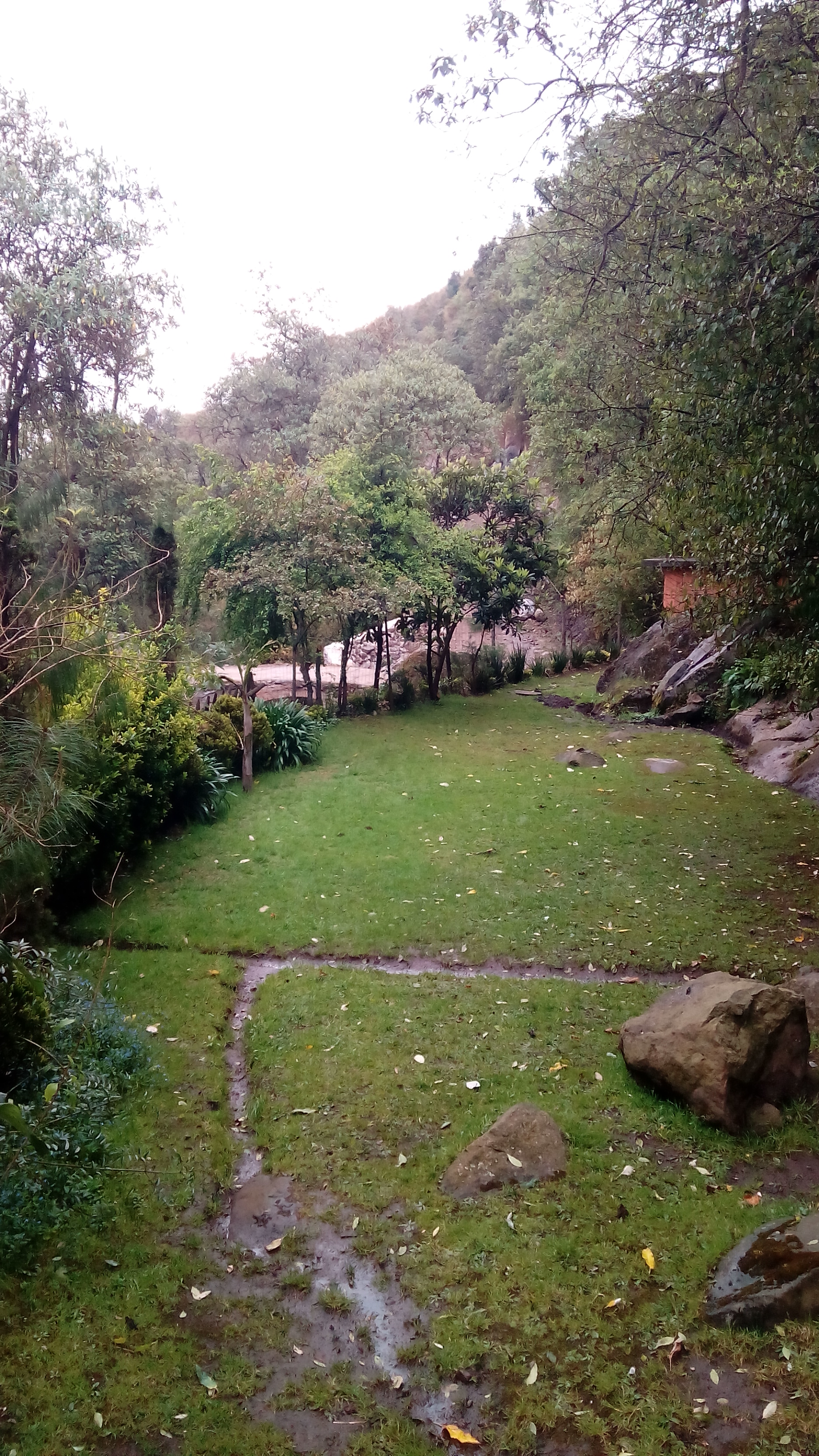 Rio De Los Ajos image 10