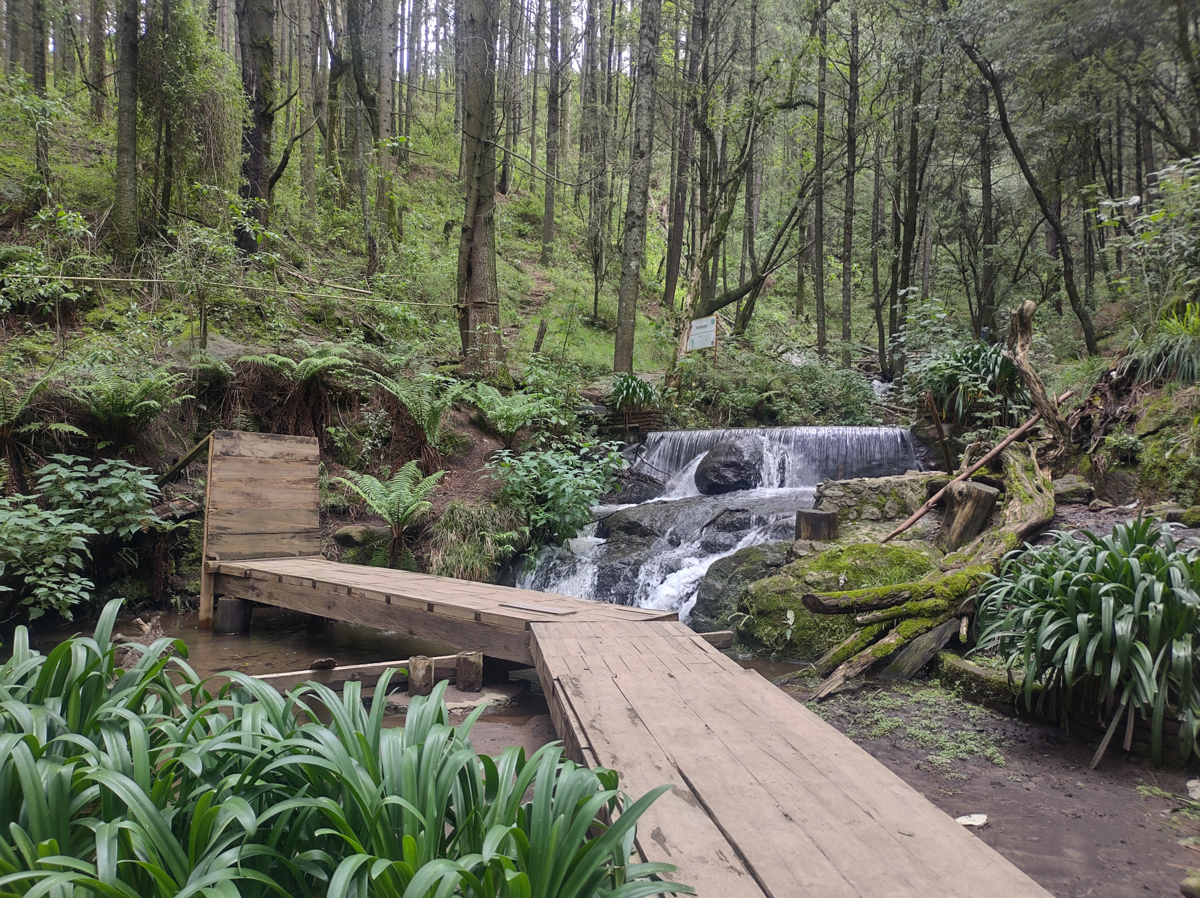 Cascadas Catidey image 3