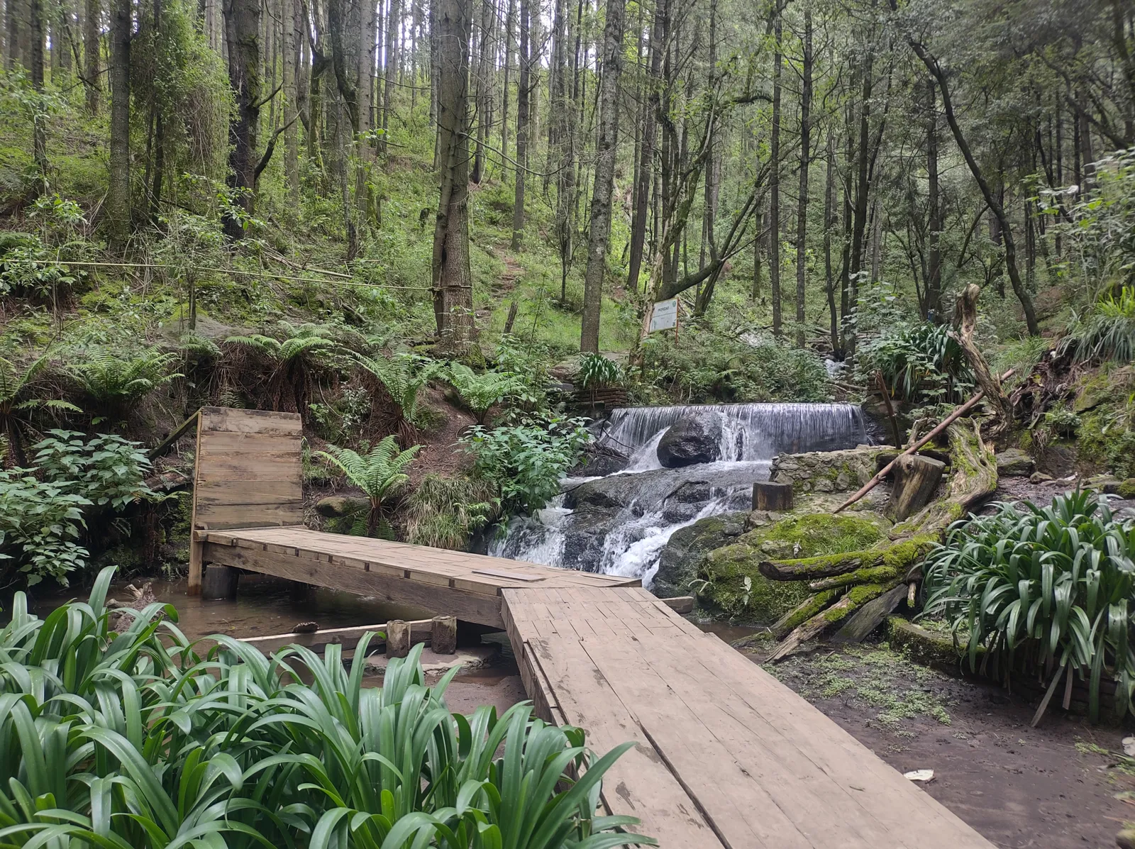Cascadas Catidey image 3