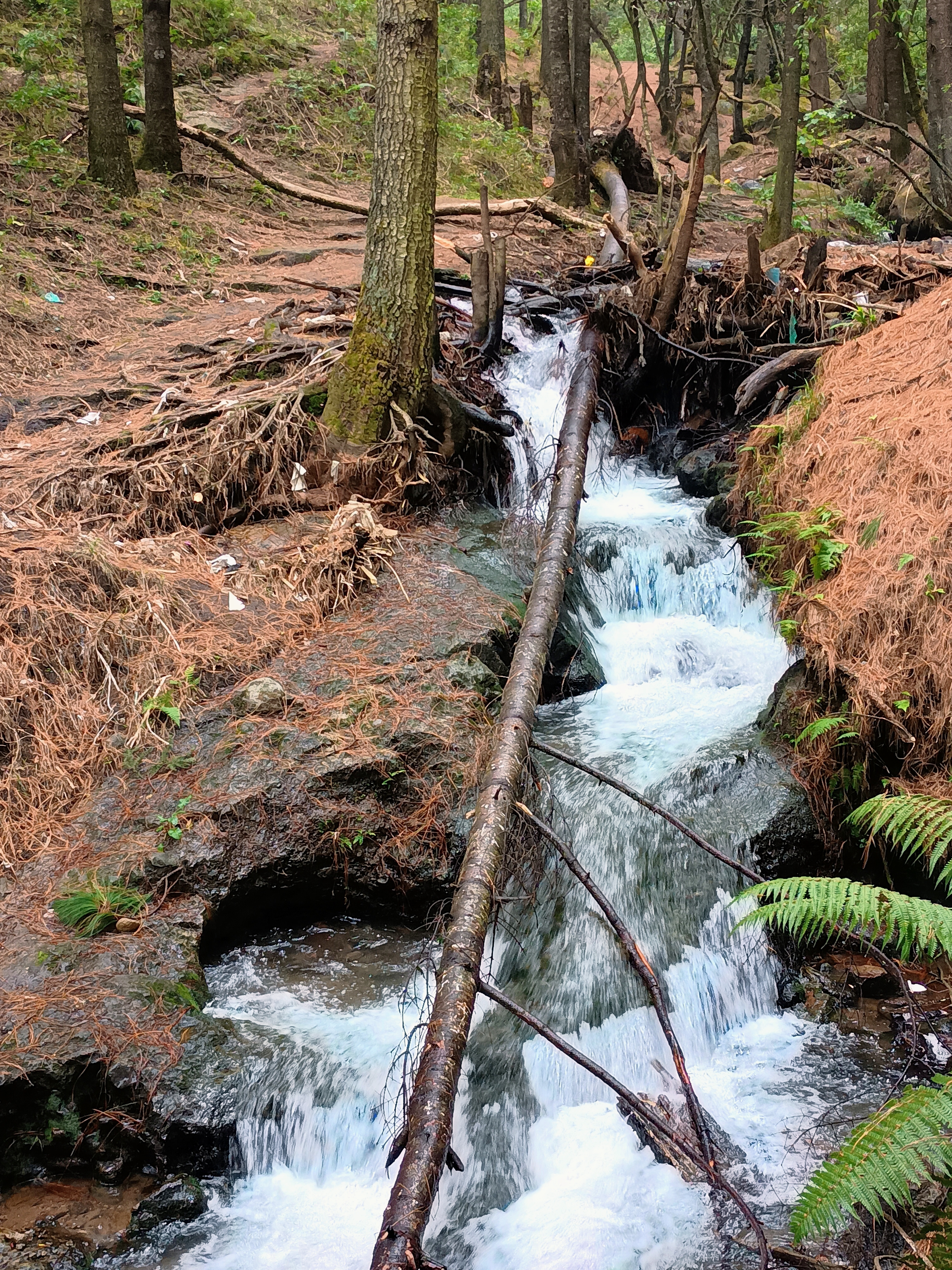 Cascadas Catidey image 4