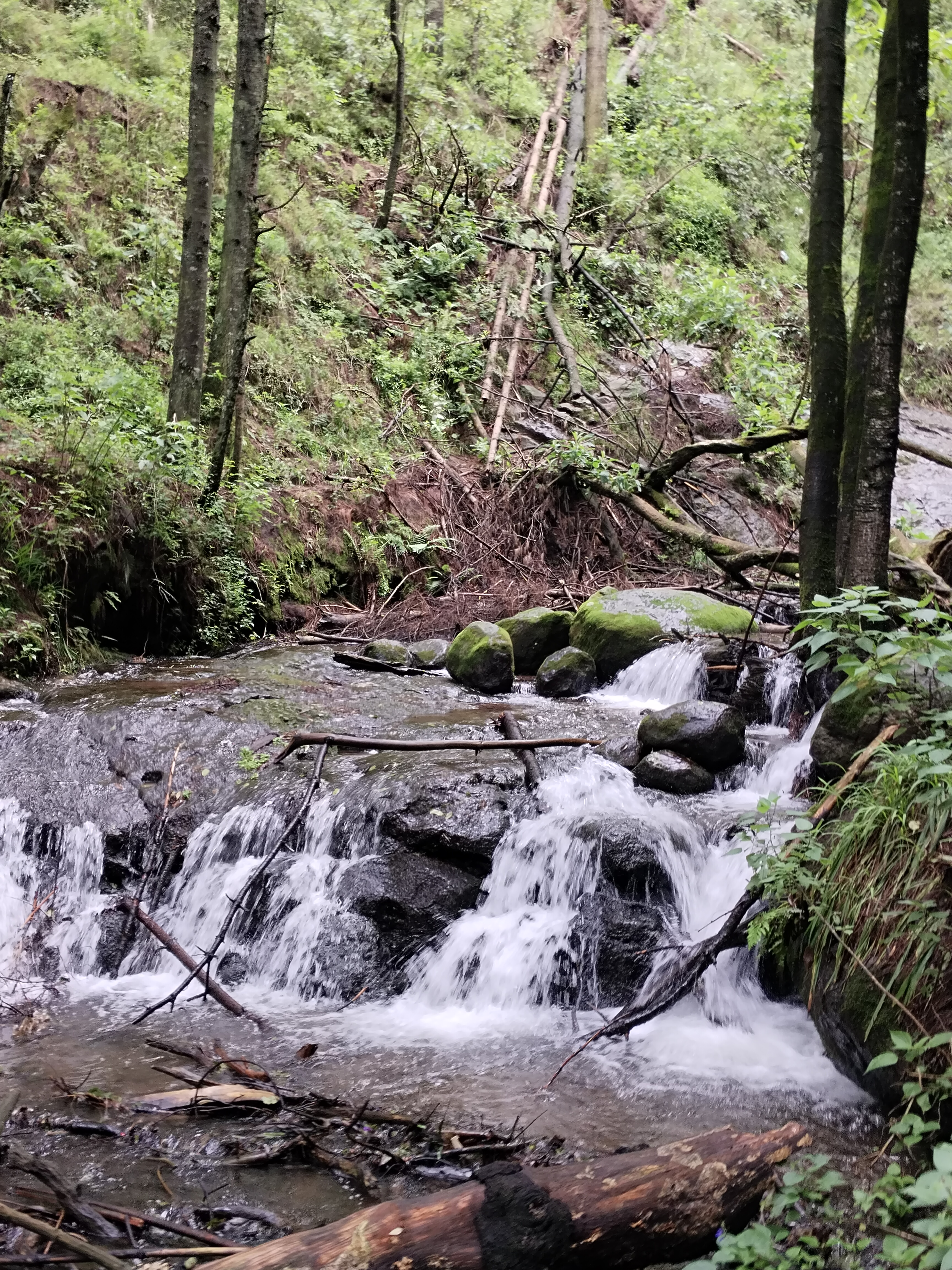 Cascadas Catidey image 5