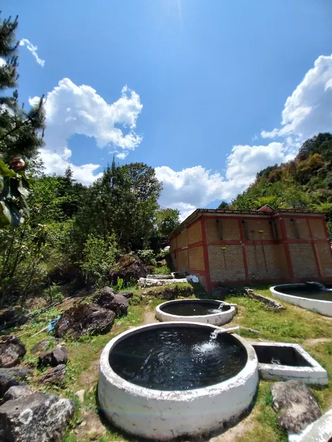 Truchas Los Cedros S.P.R. de R.L. image 2