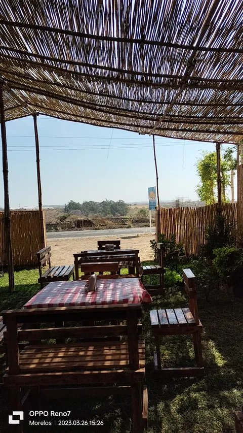 Oasis, Restaurante Bar image 1