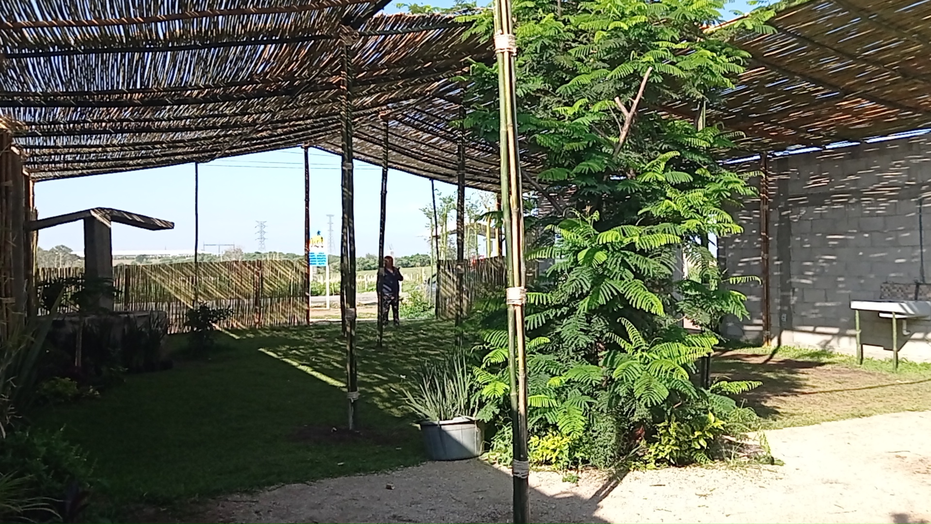 Oasis, Restaurante Bar image 7