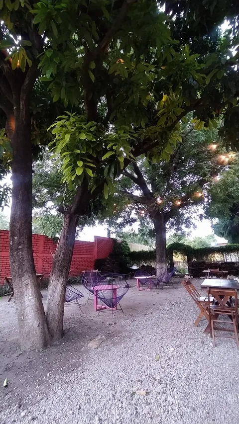 Jardín de los Sueños image 8