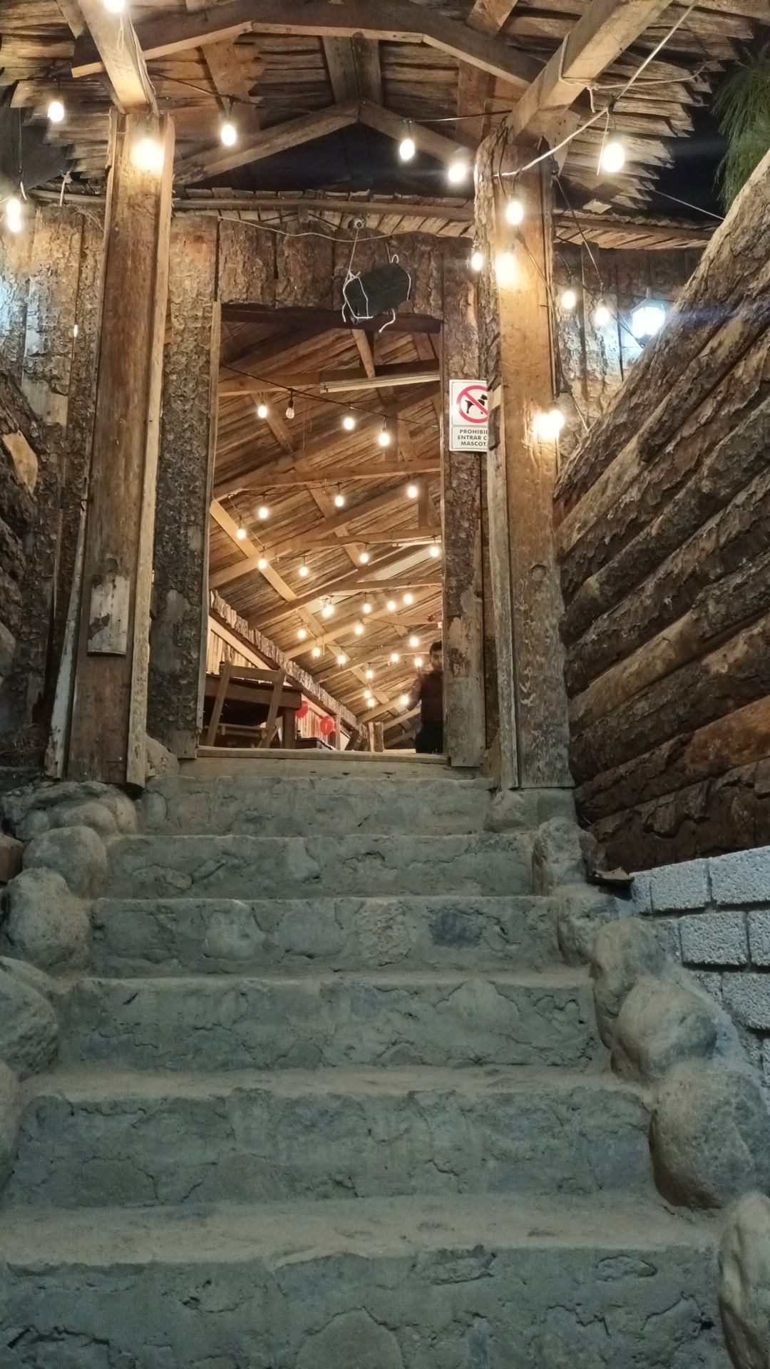 Defeña Oaxaqueña image 4