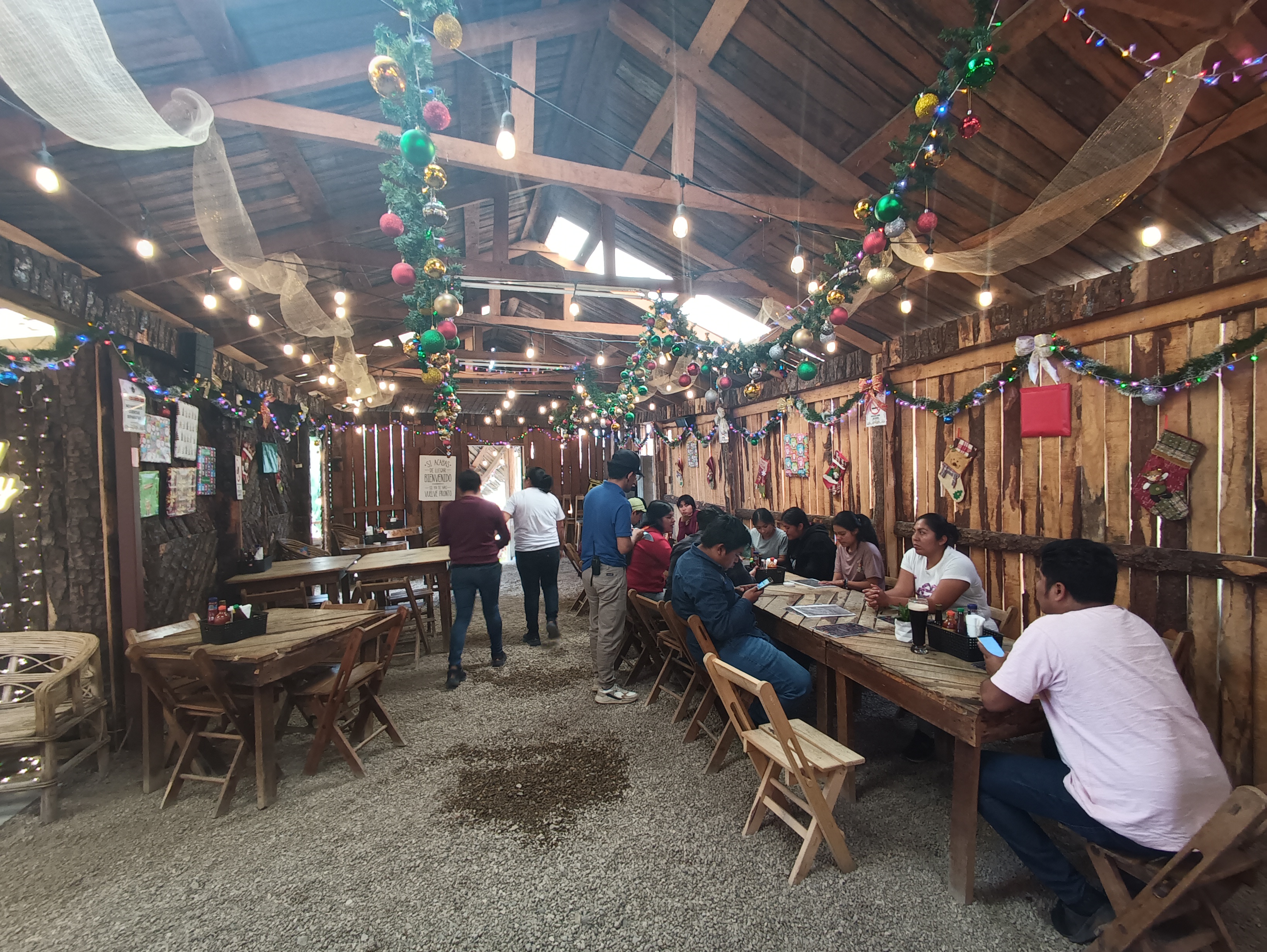 Defeña Oaxaqueña image 5