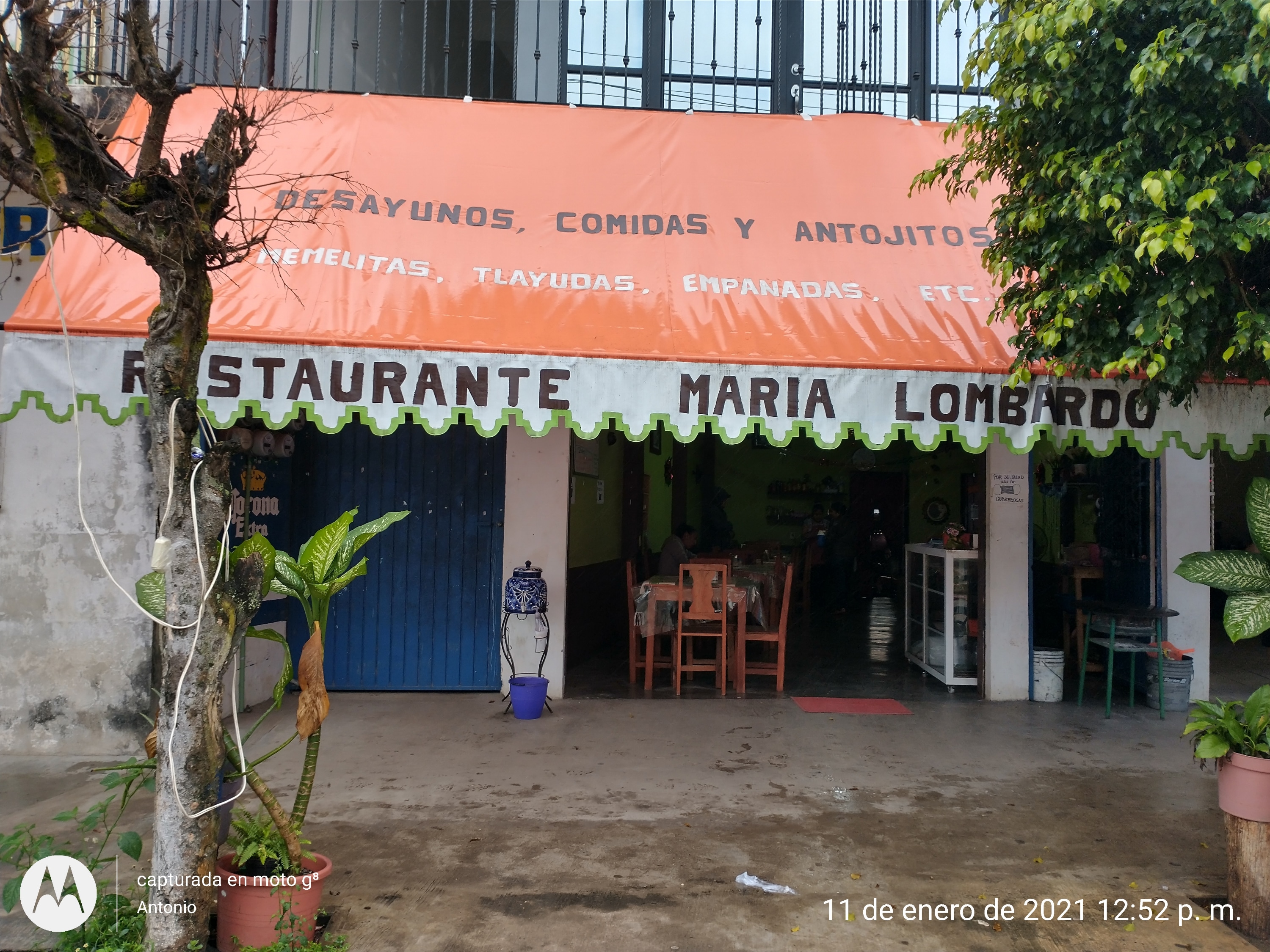 Restaurante maria lombardo image 6