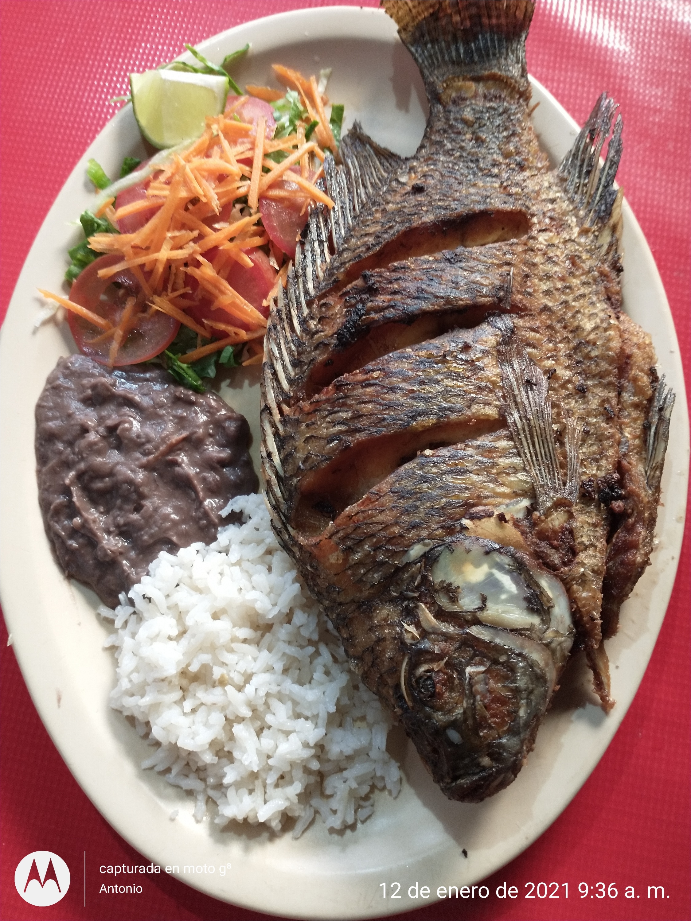 Restaurante maria lombardo image 7