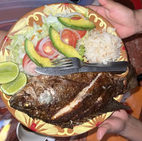 Restaurant CHOFI image 2