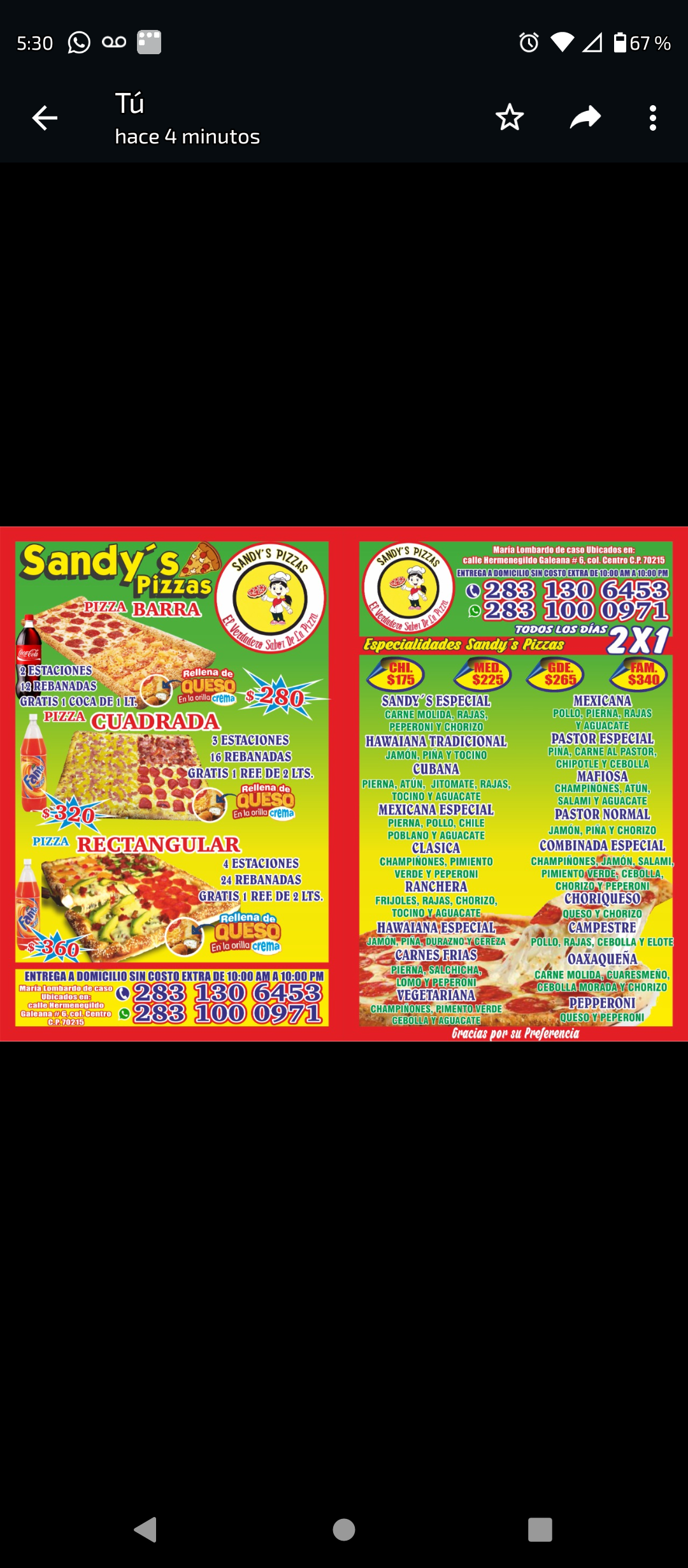 "SANDYS PIZZAS" image 5