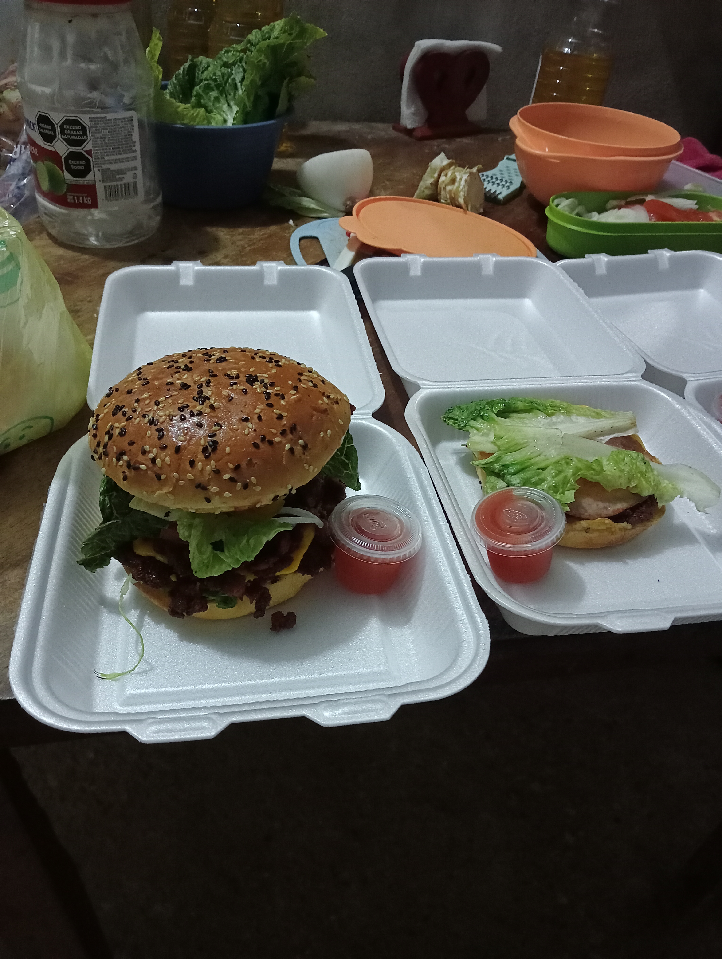 El crustáceo caskarudo image 1