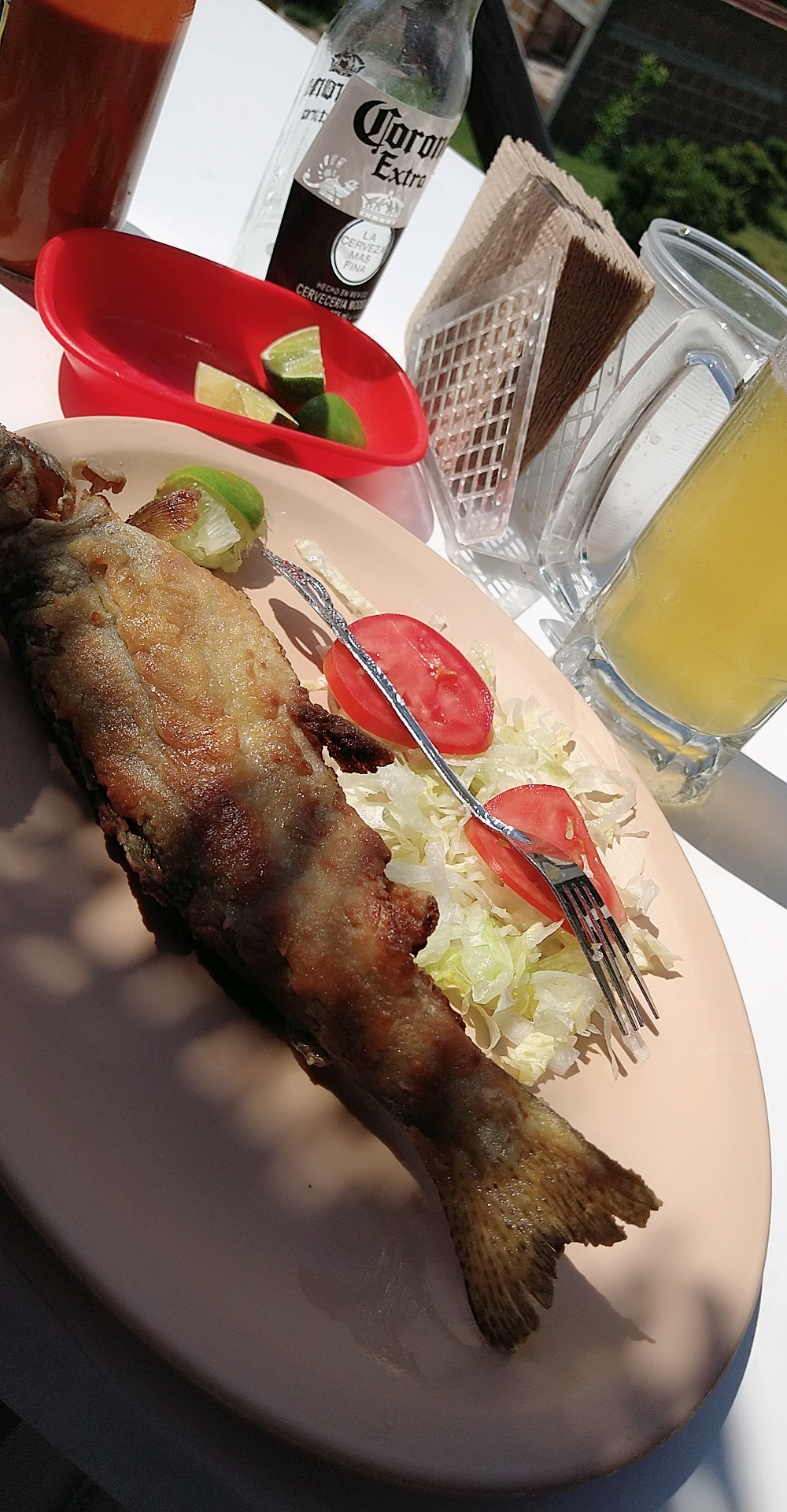 Truchas el Sahuaral image 1