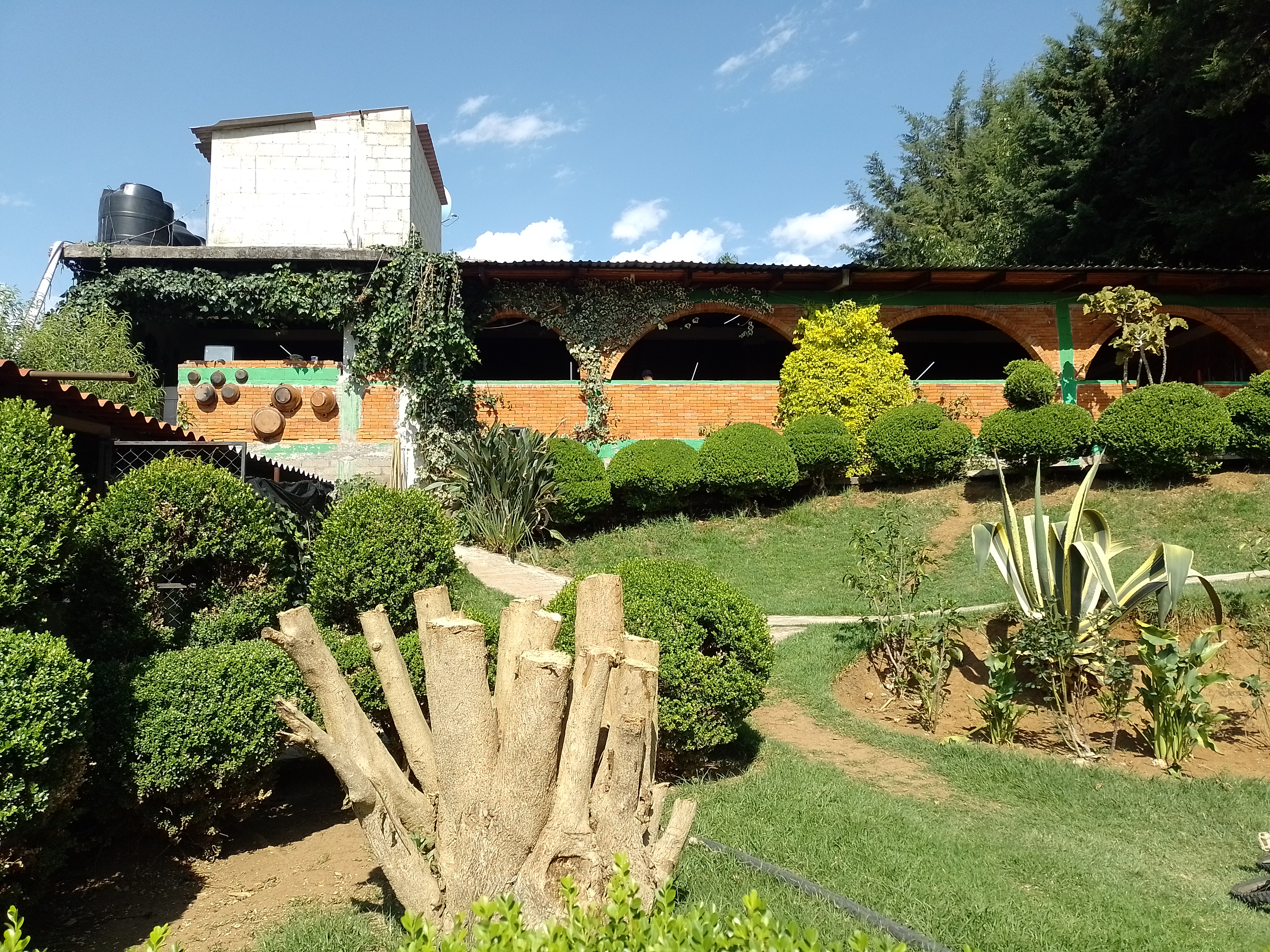 Truchas el Sahuaral image 2