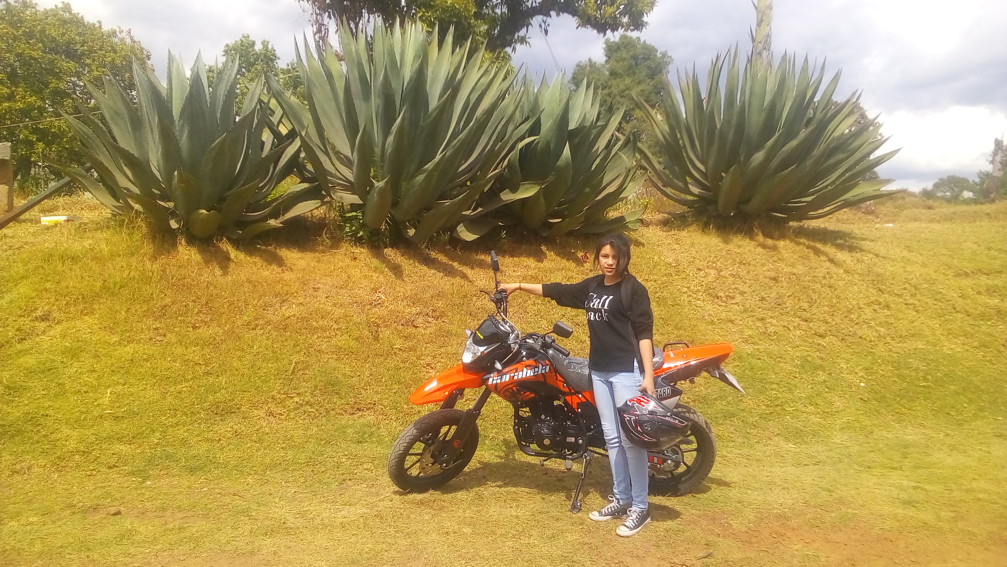 Truchas el Sahuaral image 4