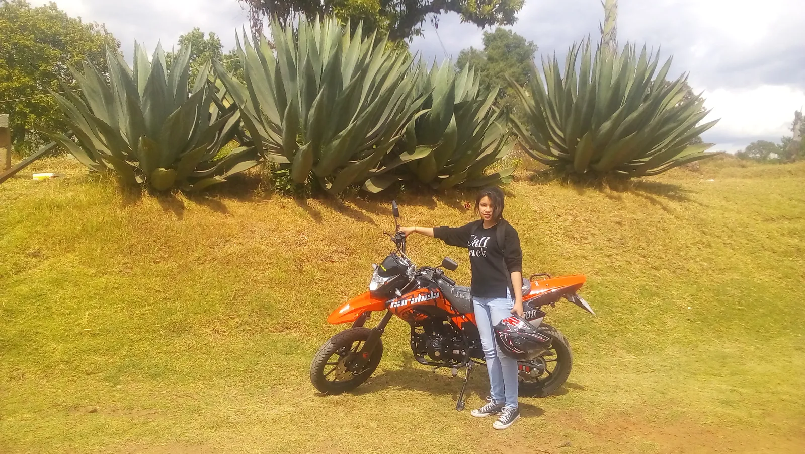Truchas el Sahuaral image 4
