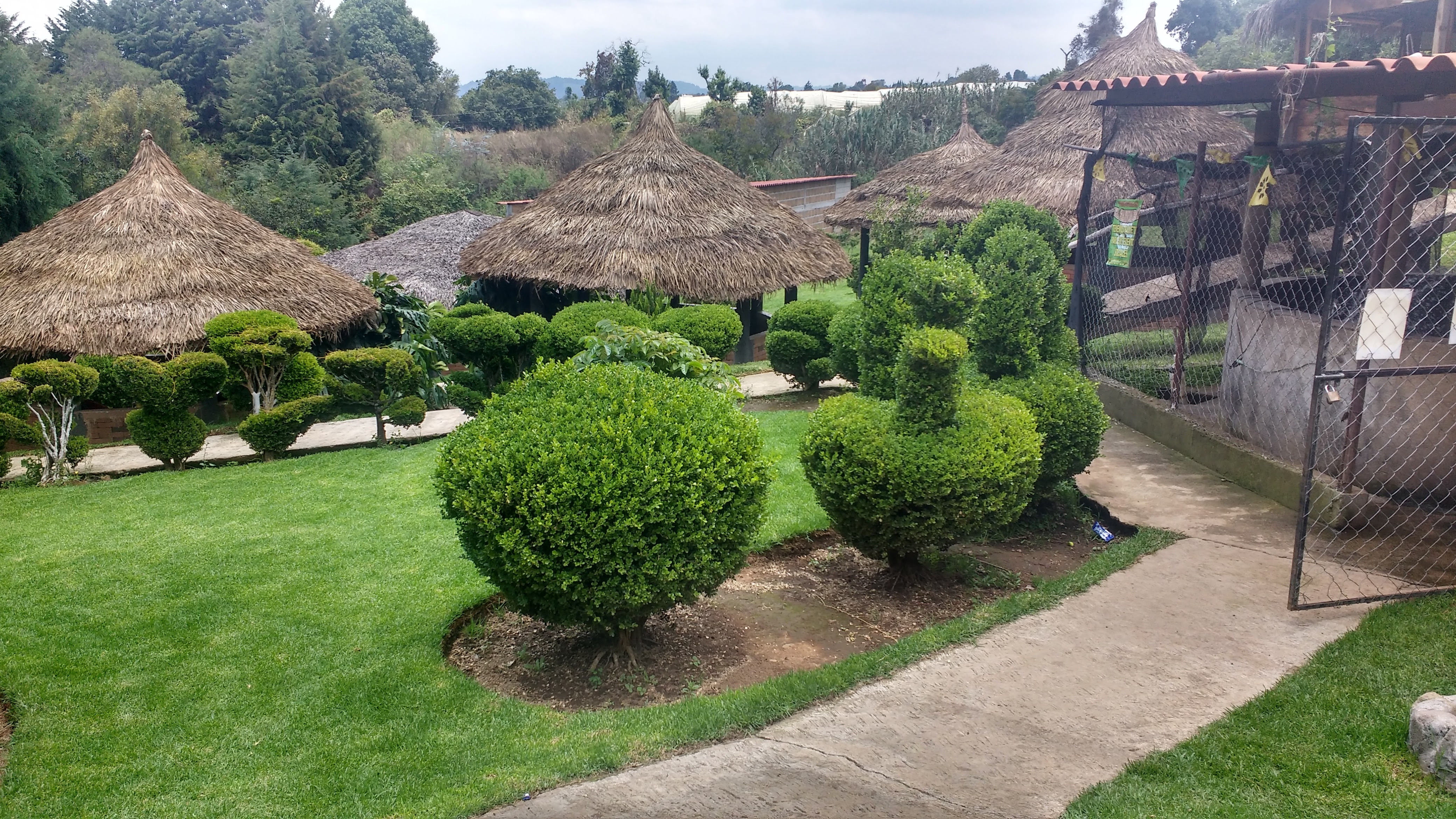 Truchas el Sahuaral image 6