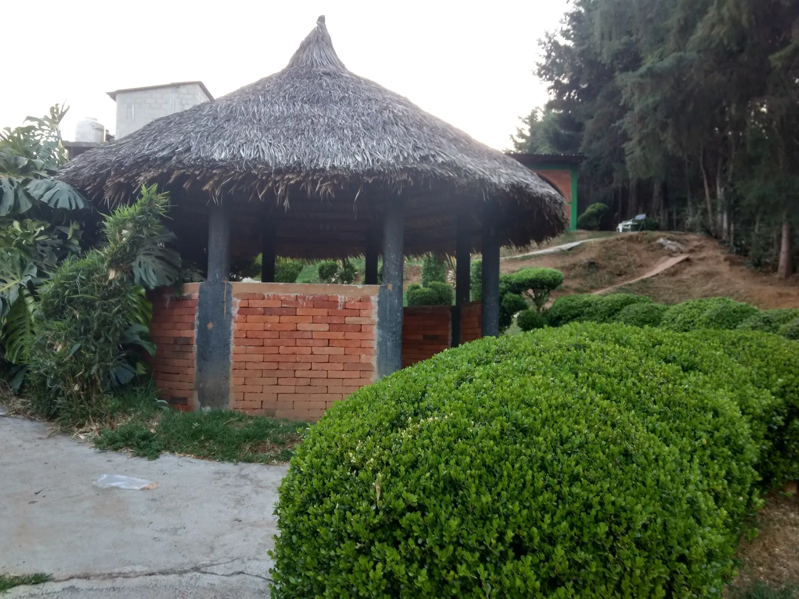 Truchas el Sahuaral image 7