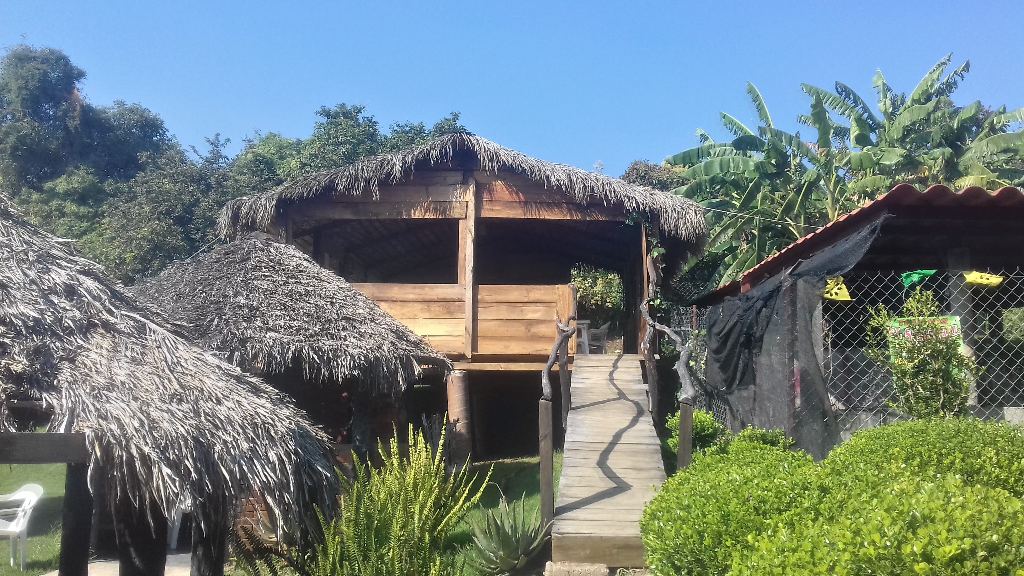 Truchas el Sahuaral image 10