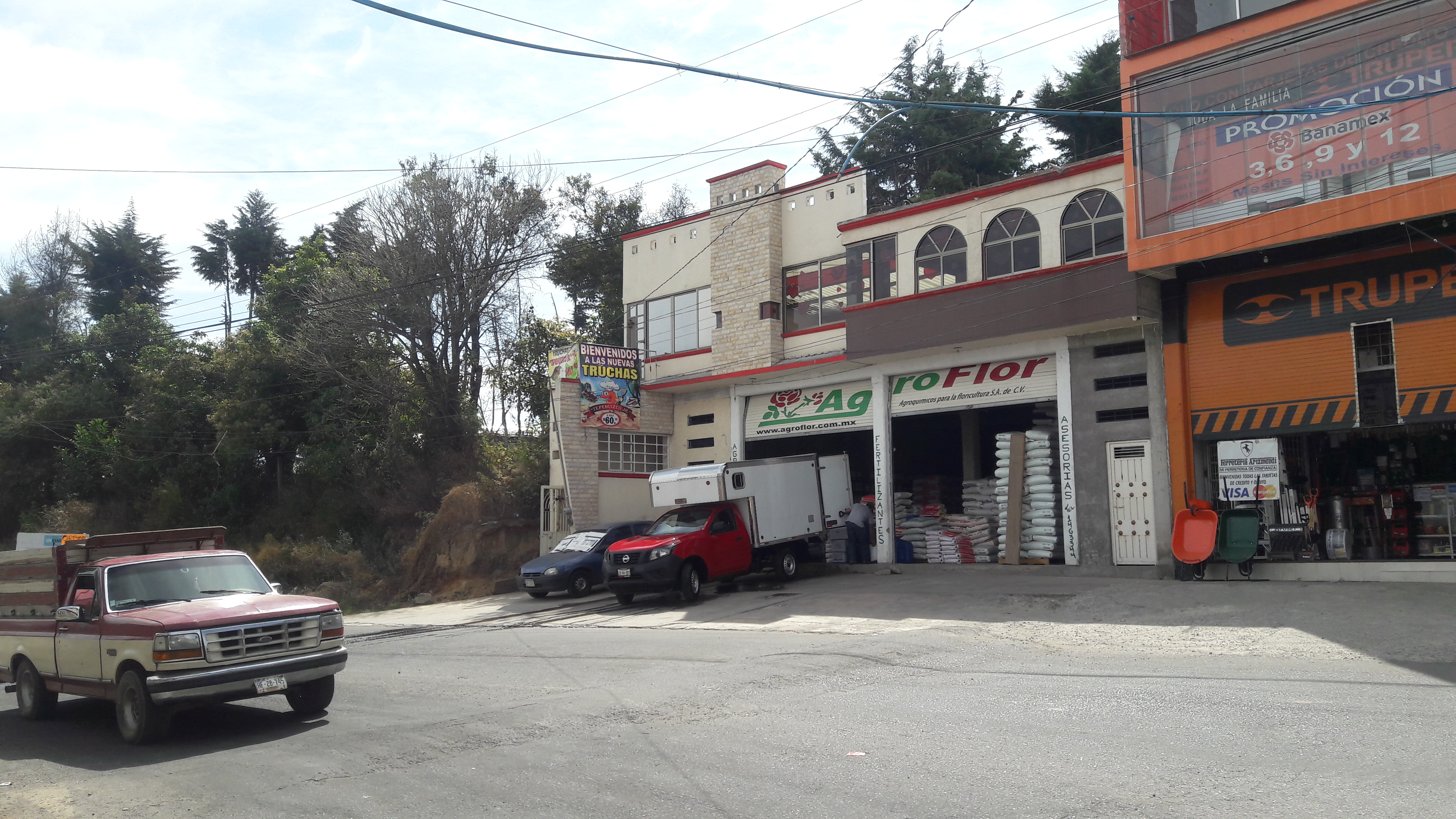 Truchas Tepehuizco Jr. image 5