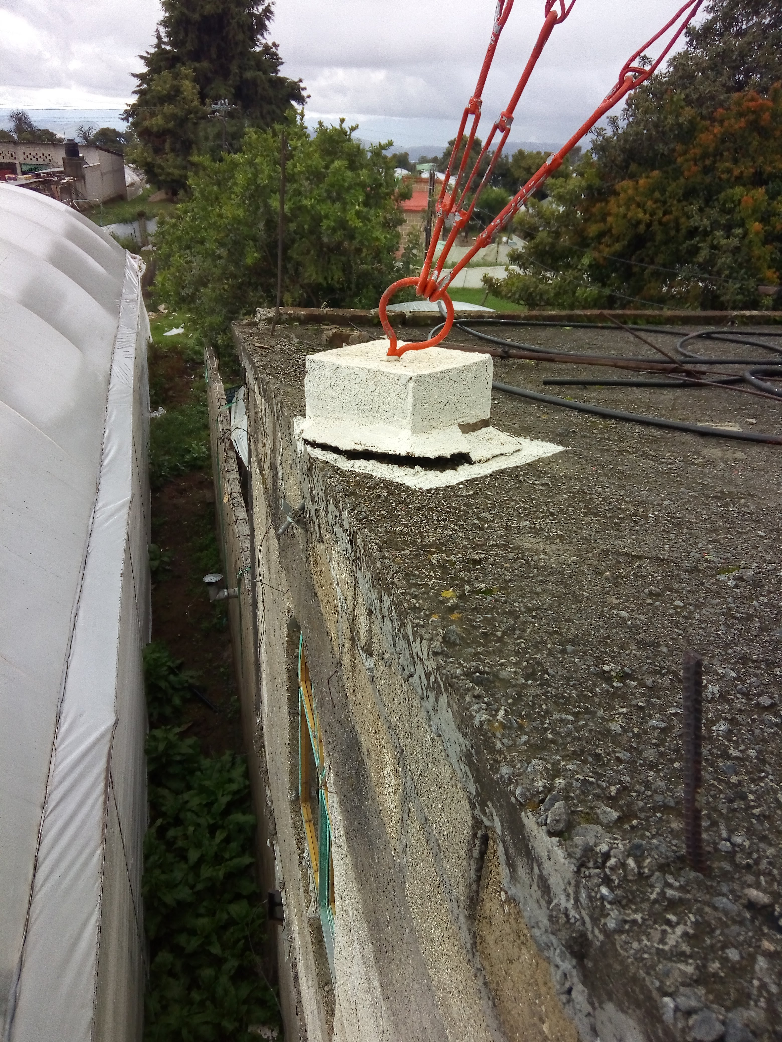 Truchas Tepehuizco Jr. image 6