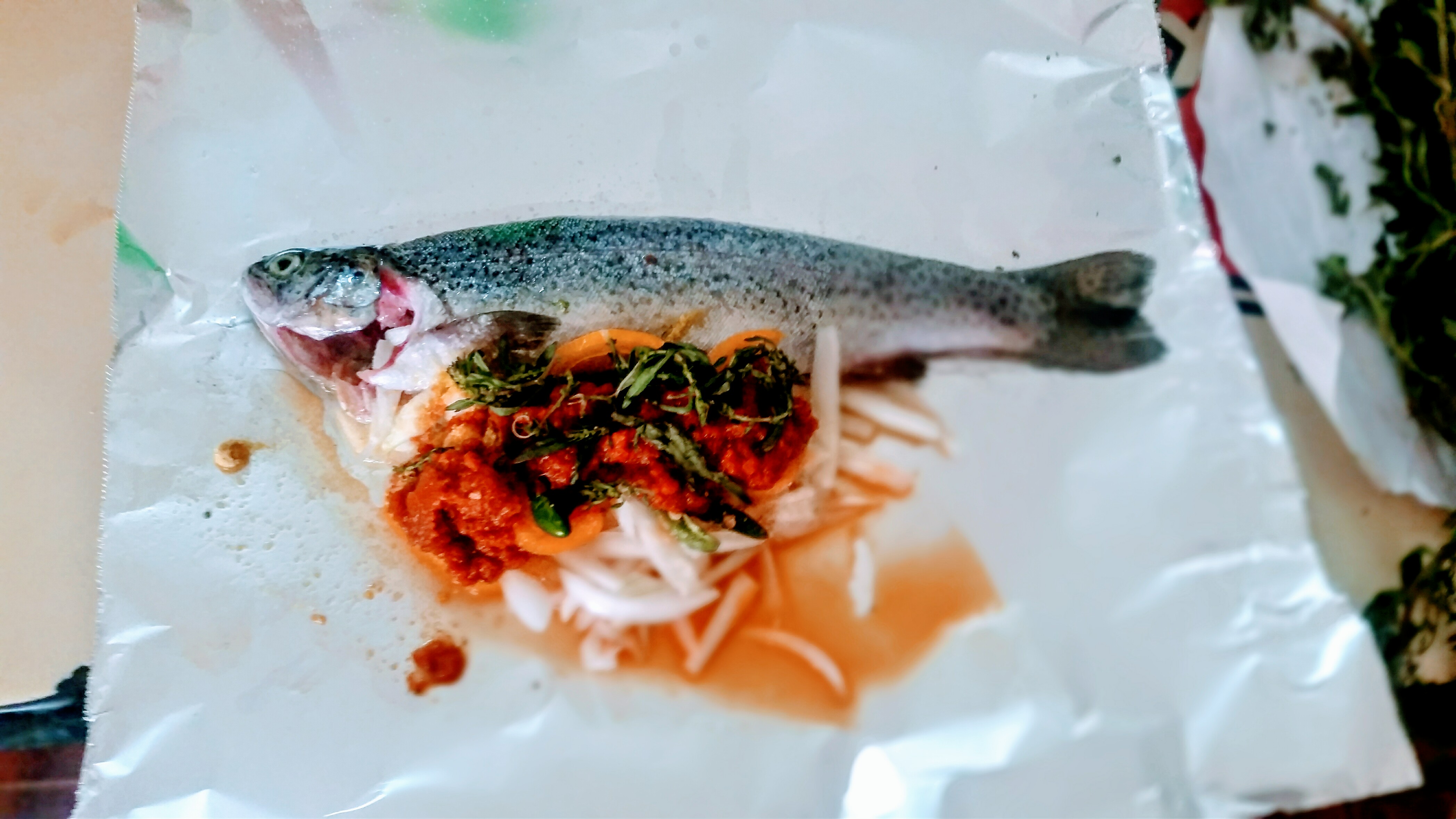 Truchas Tepehuizco Jr. image 7