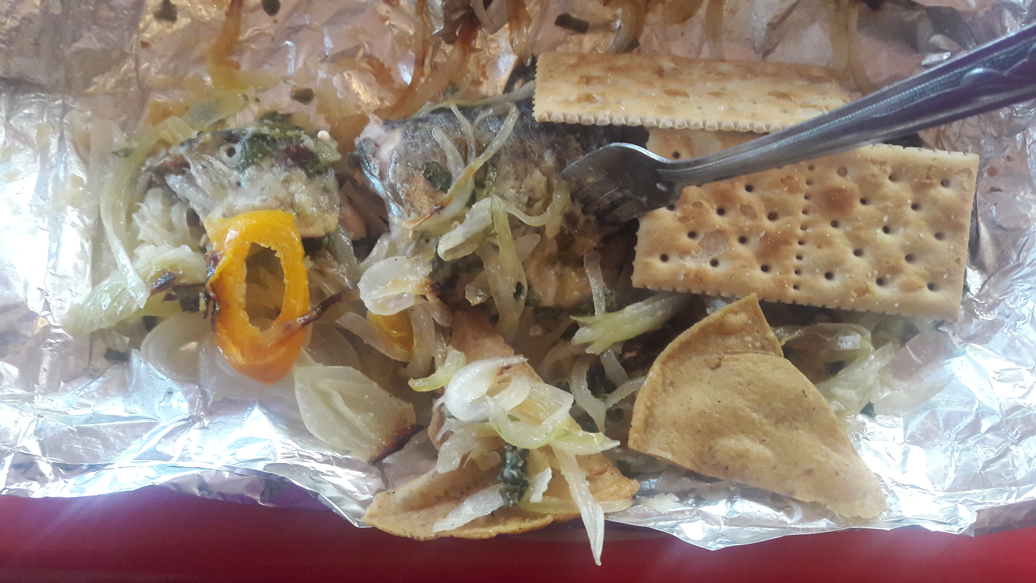 Truchas Tepehuizco Jr. image 9