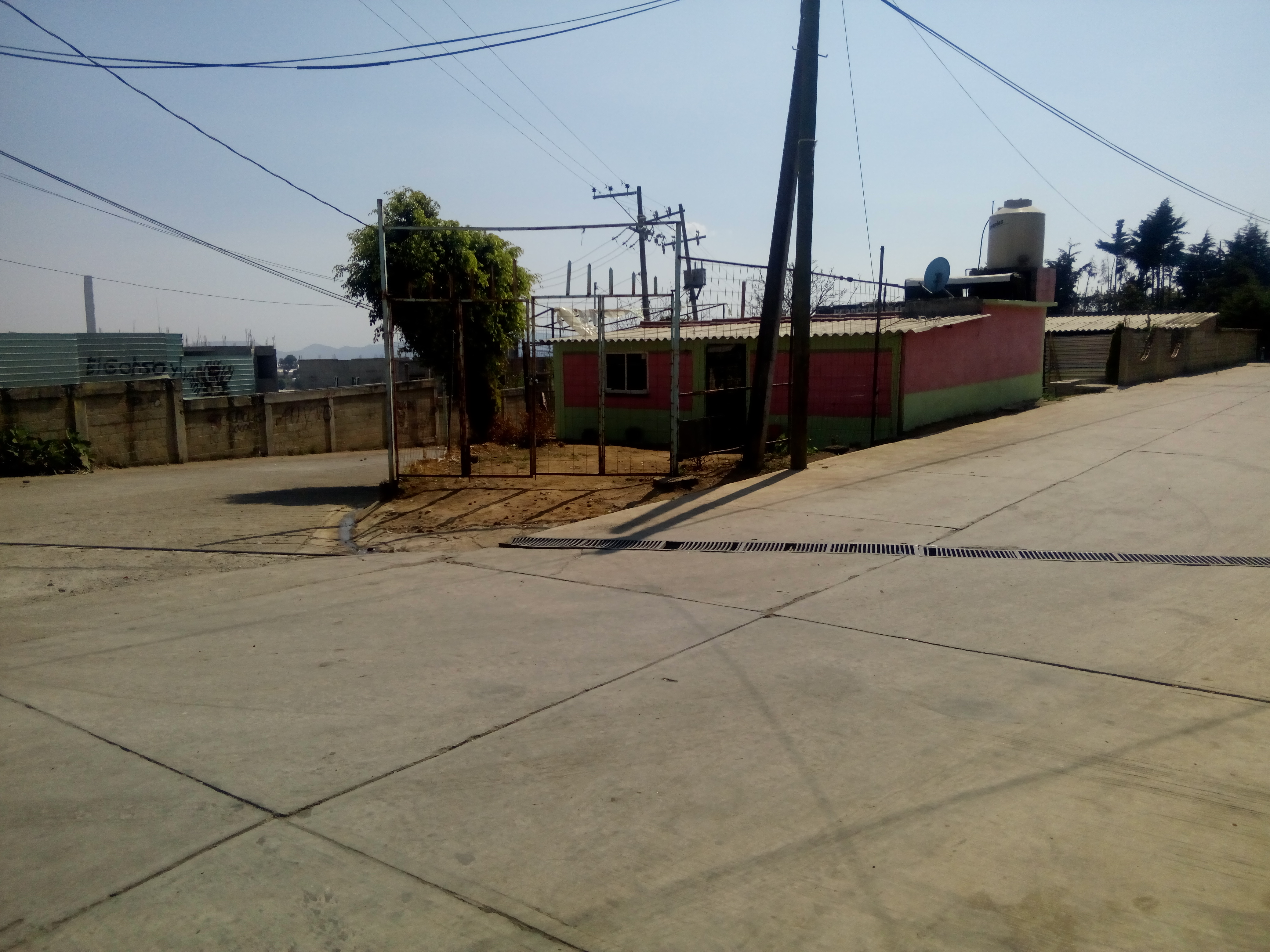 Truchas Tepehuizco Jr. image 10