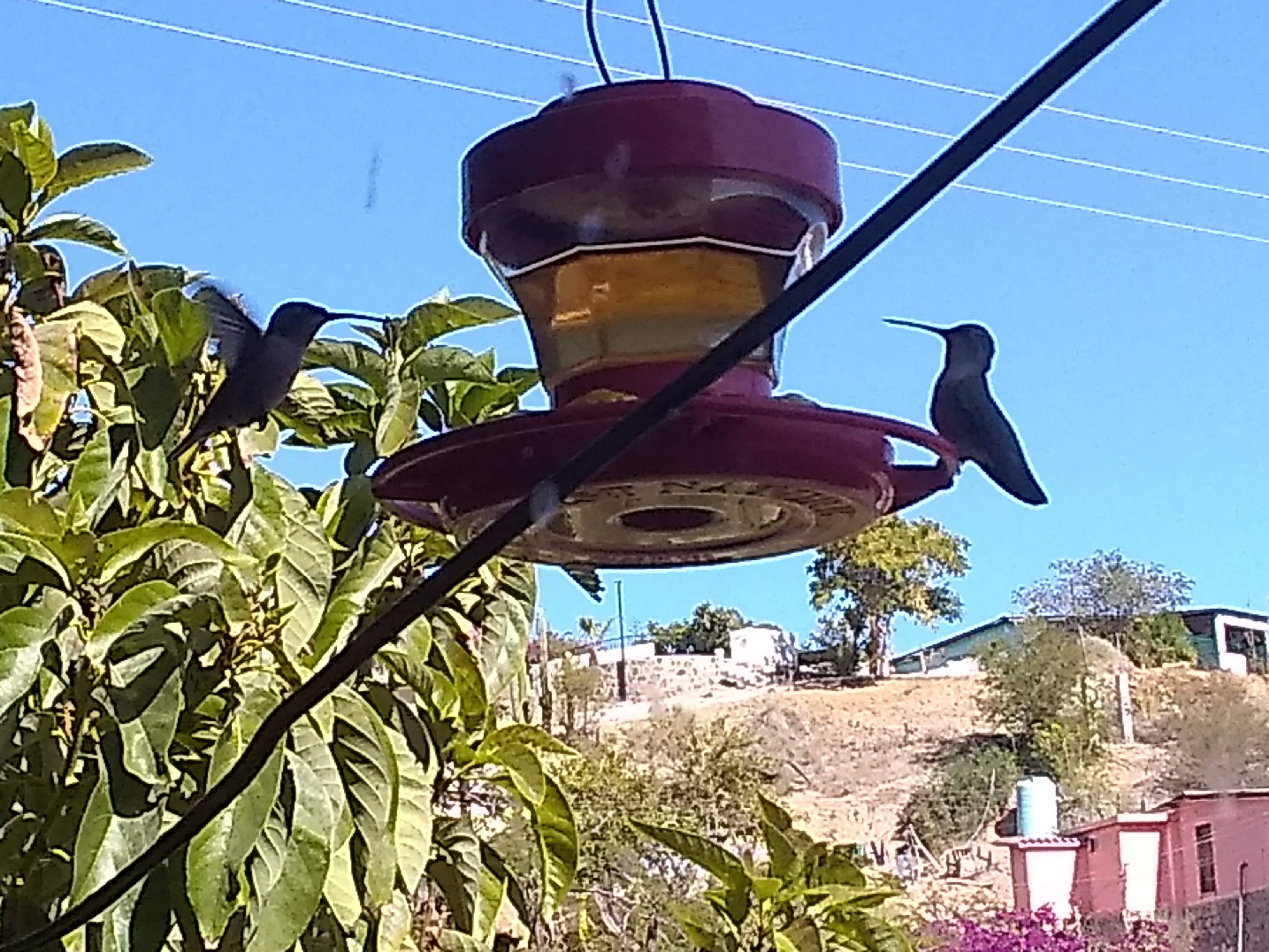 Restaurant Bar Los Equipales image 9