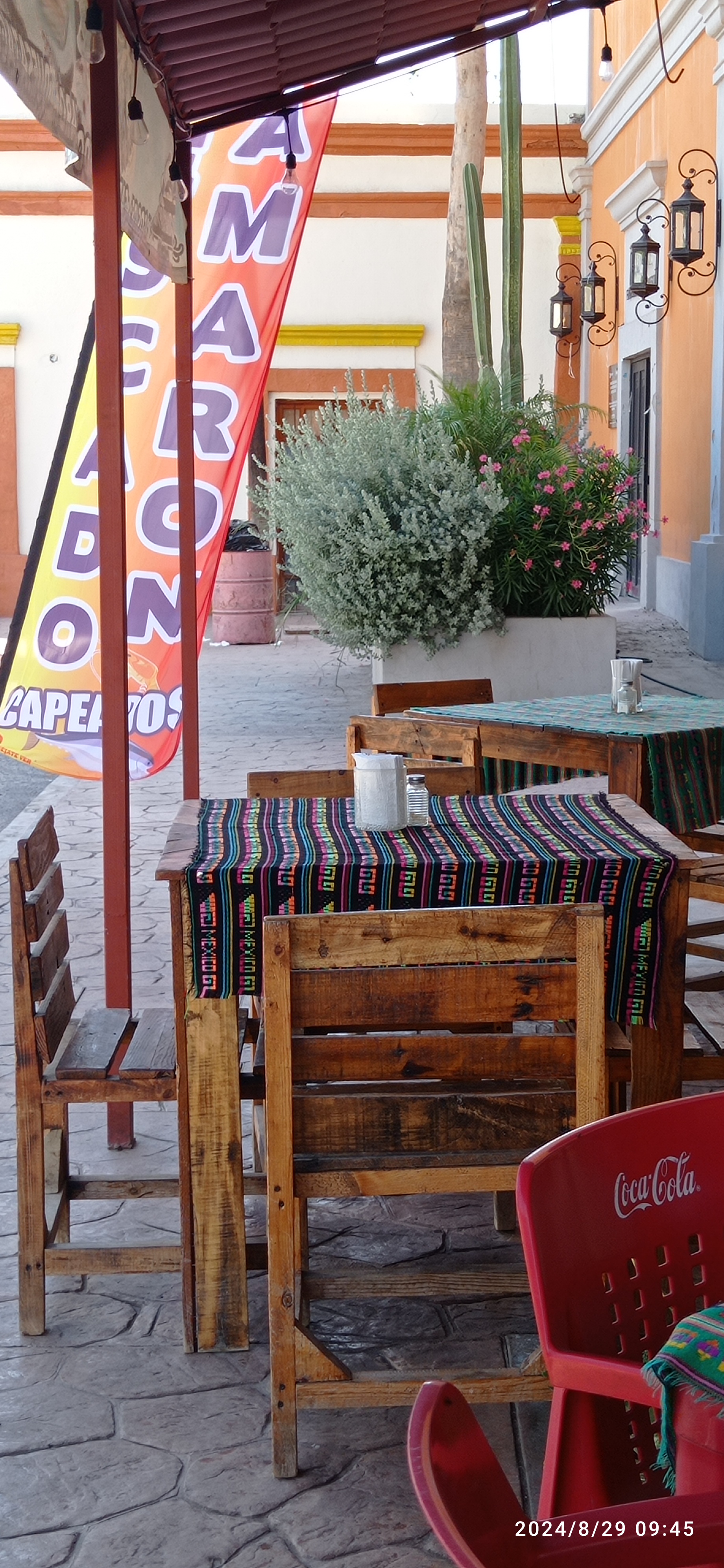 Taquitos Mulegé image 5