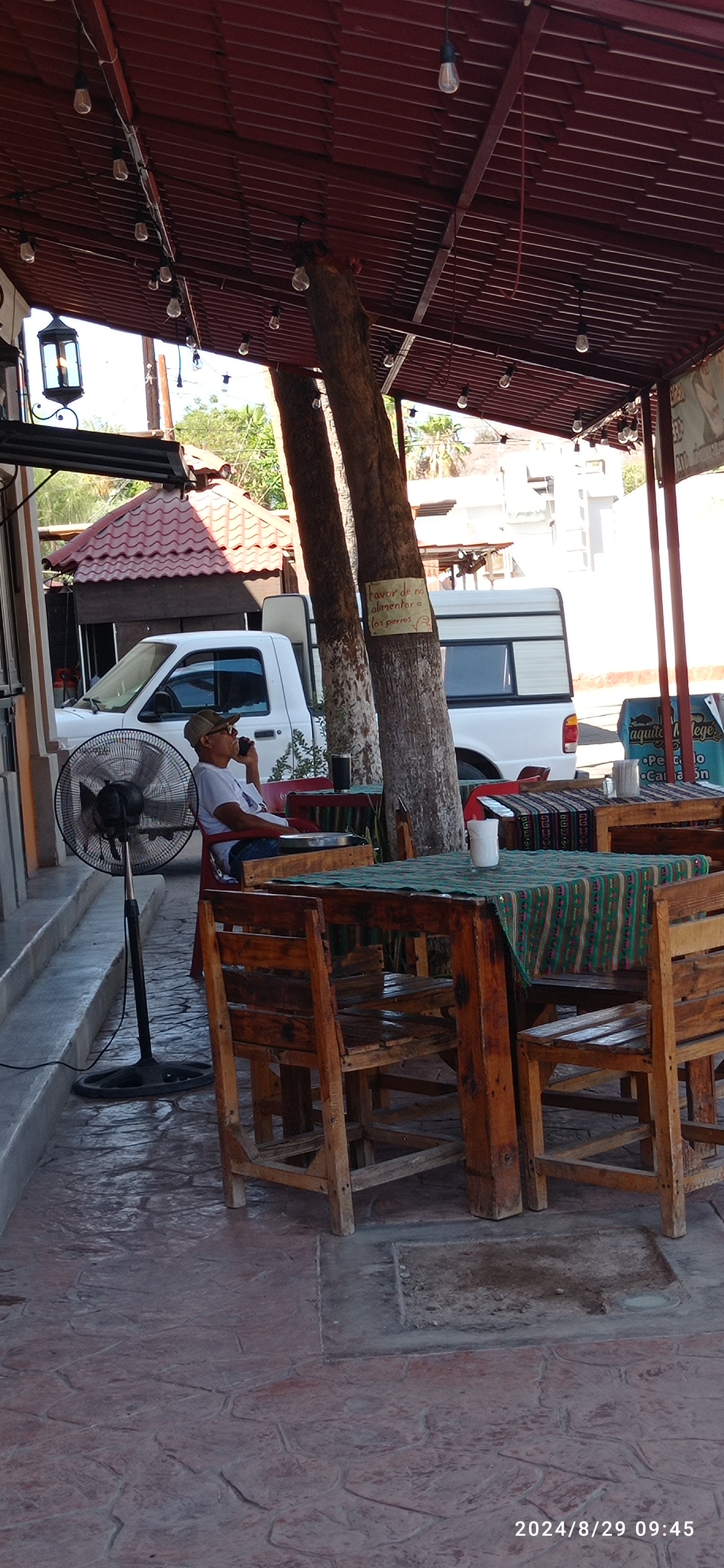 Taquitos Mulegé image 8