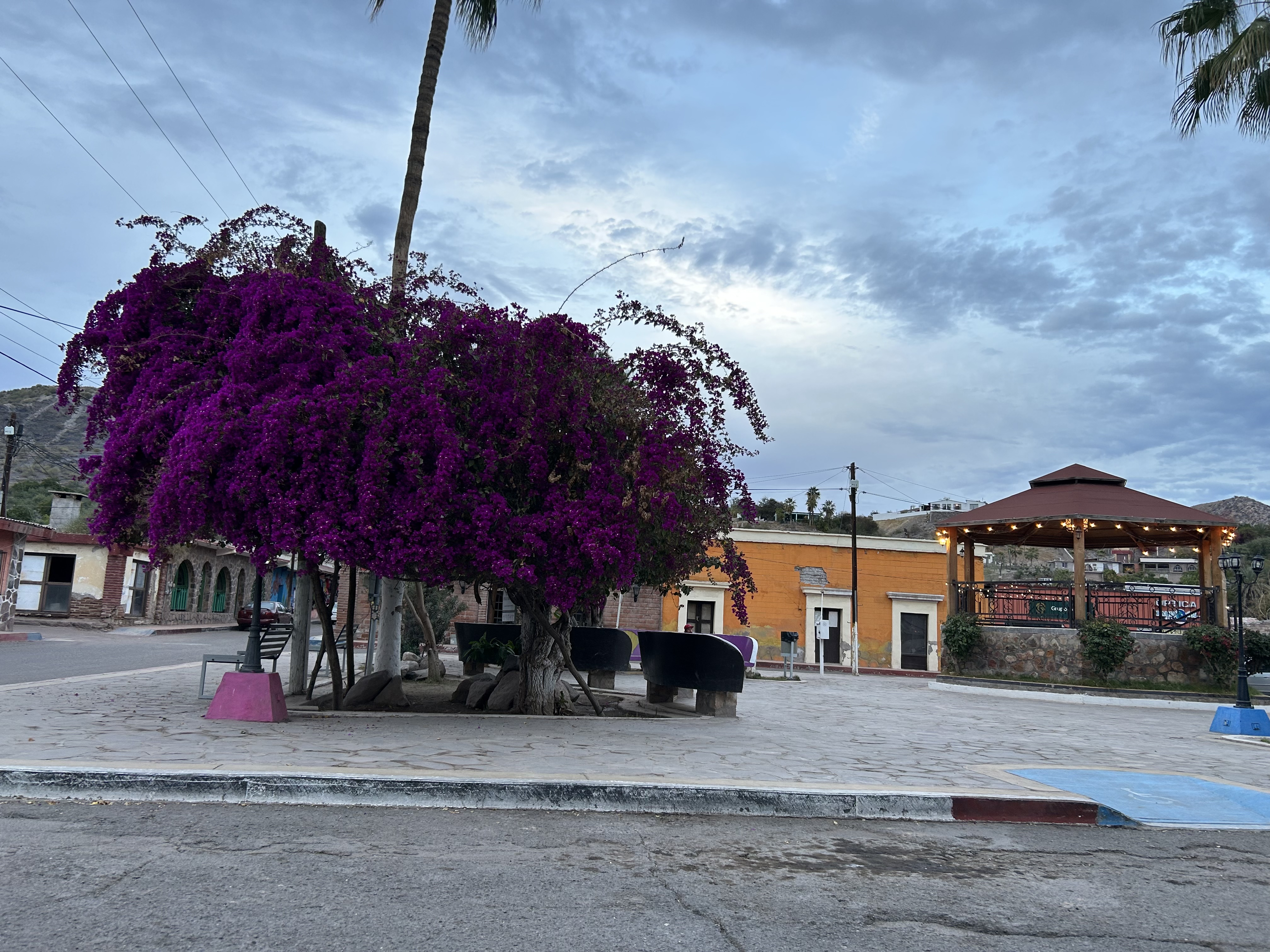 Antojitos Mexicanos "ZURIA" image 7