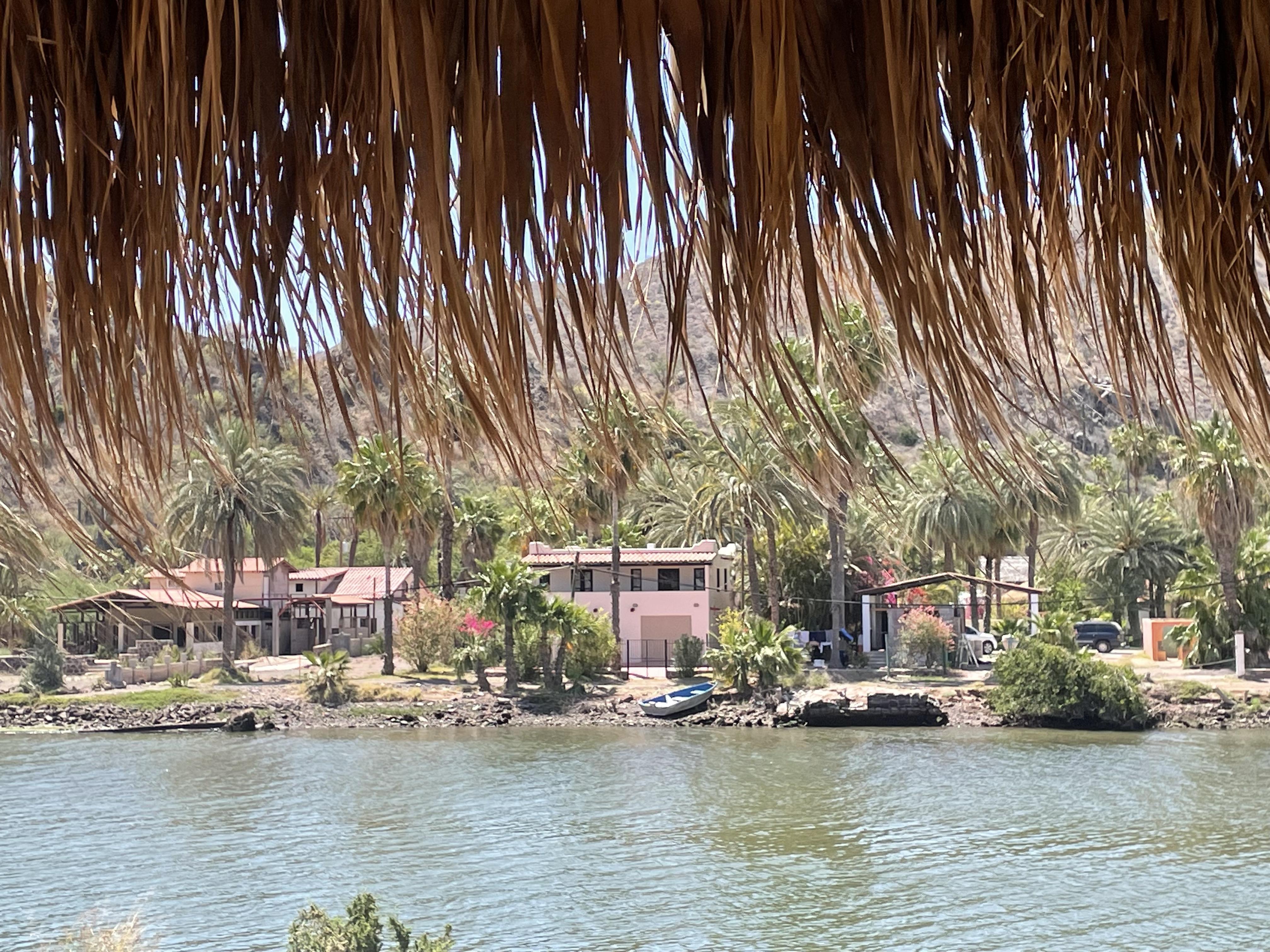 Restaurant La Huerta image 6